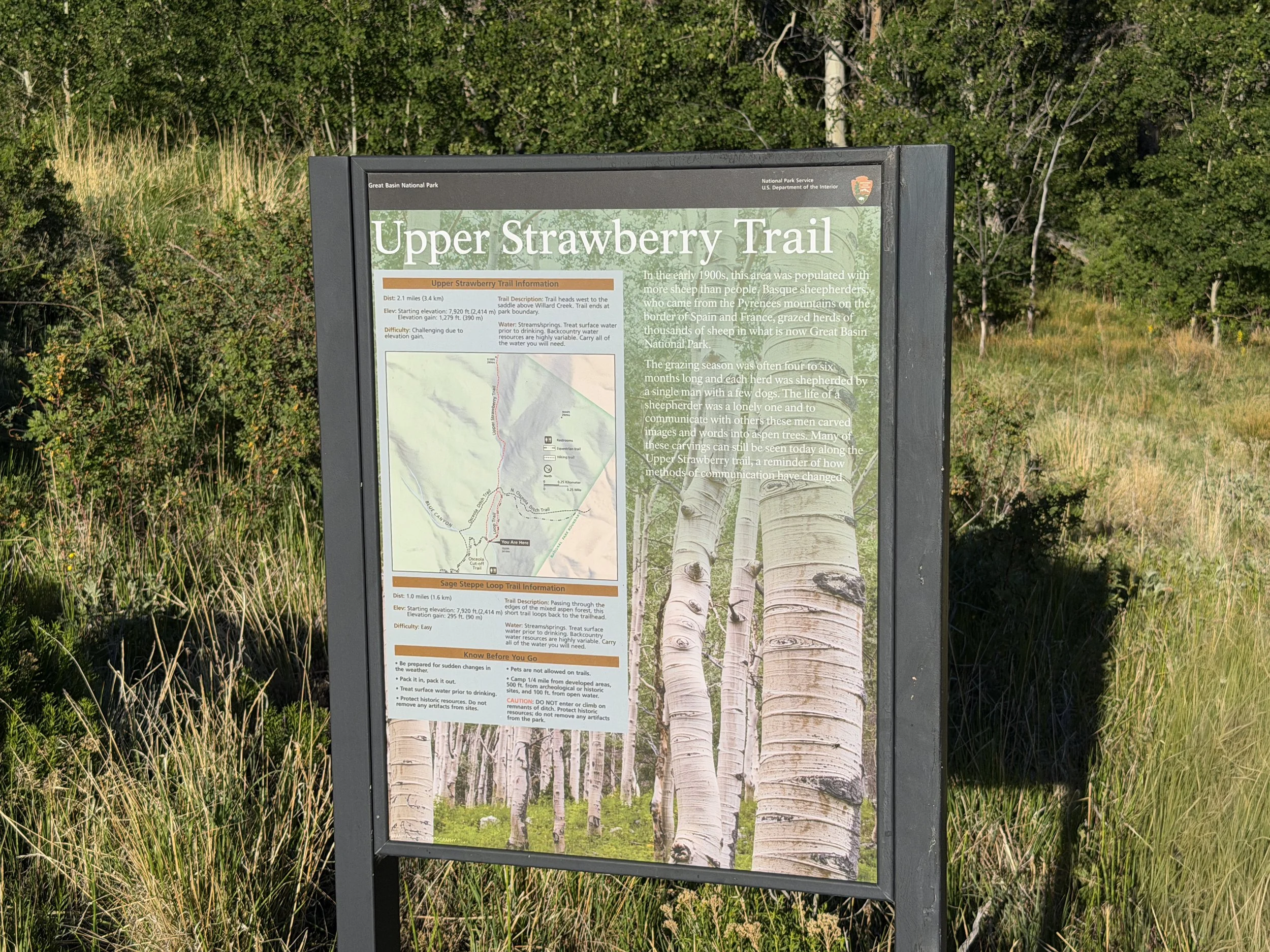 Upper Strawberry Trailhead Great Basin National Park Nevada