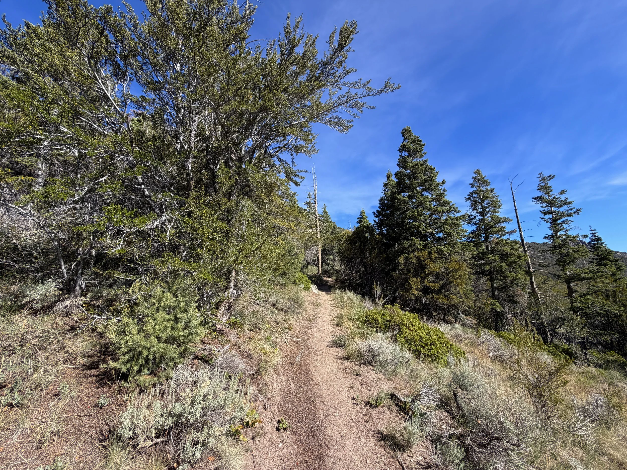 Pole Canyon Hike Great Basin National Park Nevada
