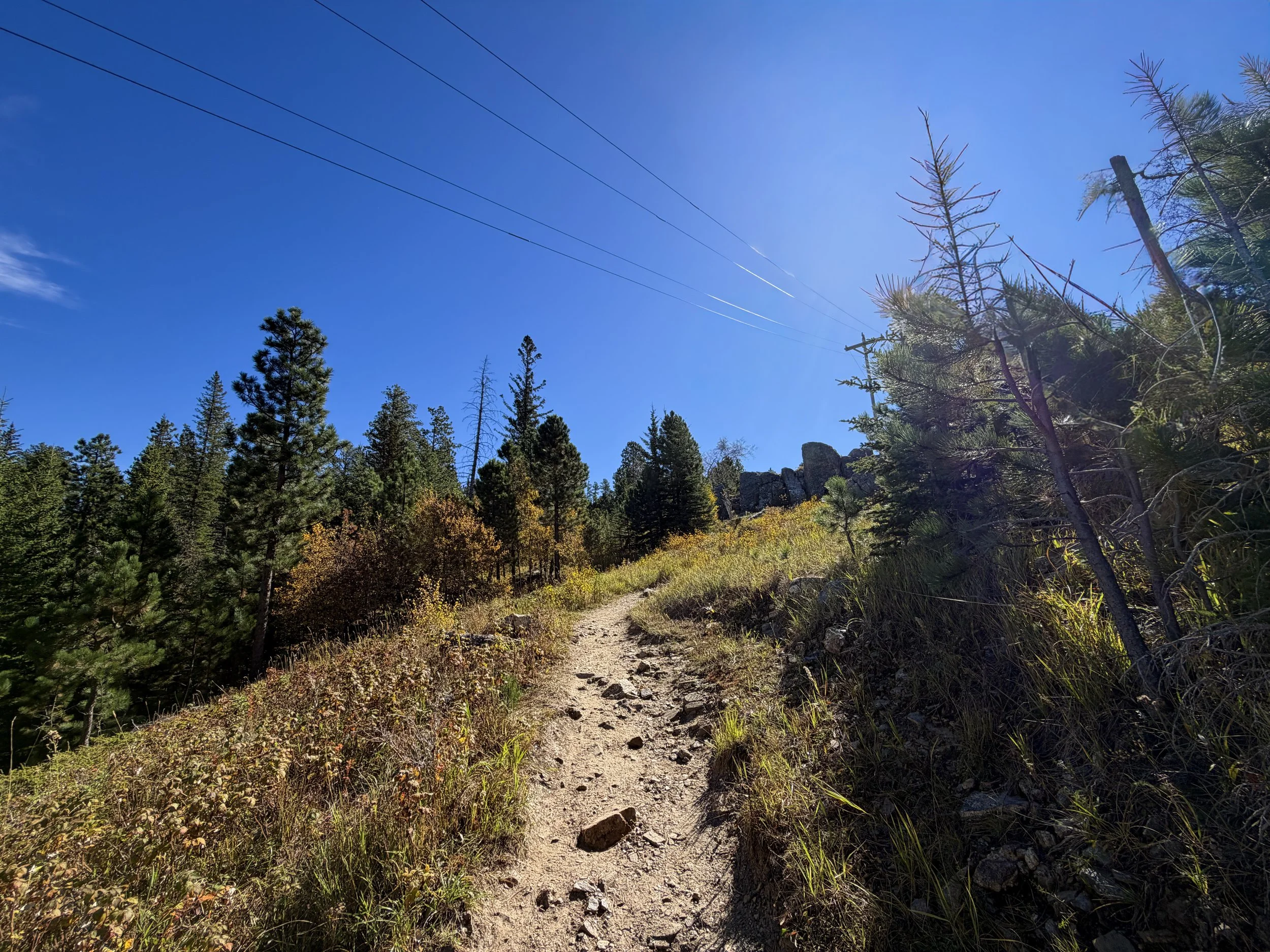 Sunday Gulch Trail Custer State Park Black Hills South Dakota
