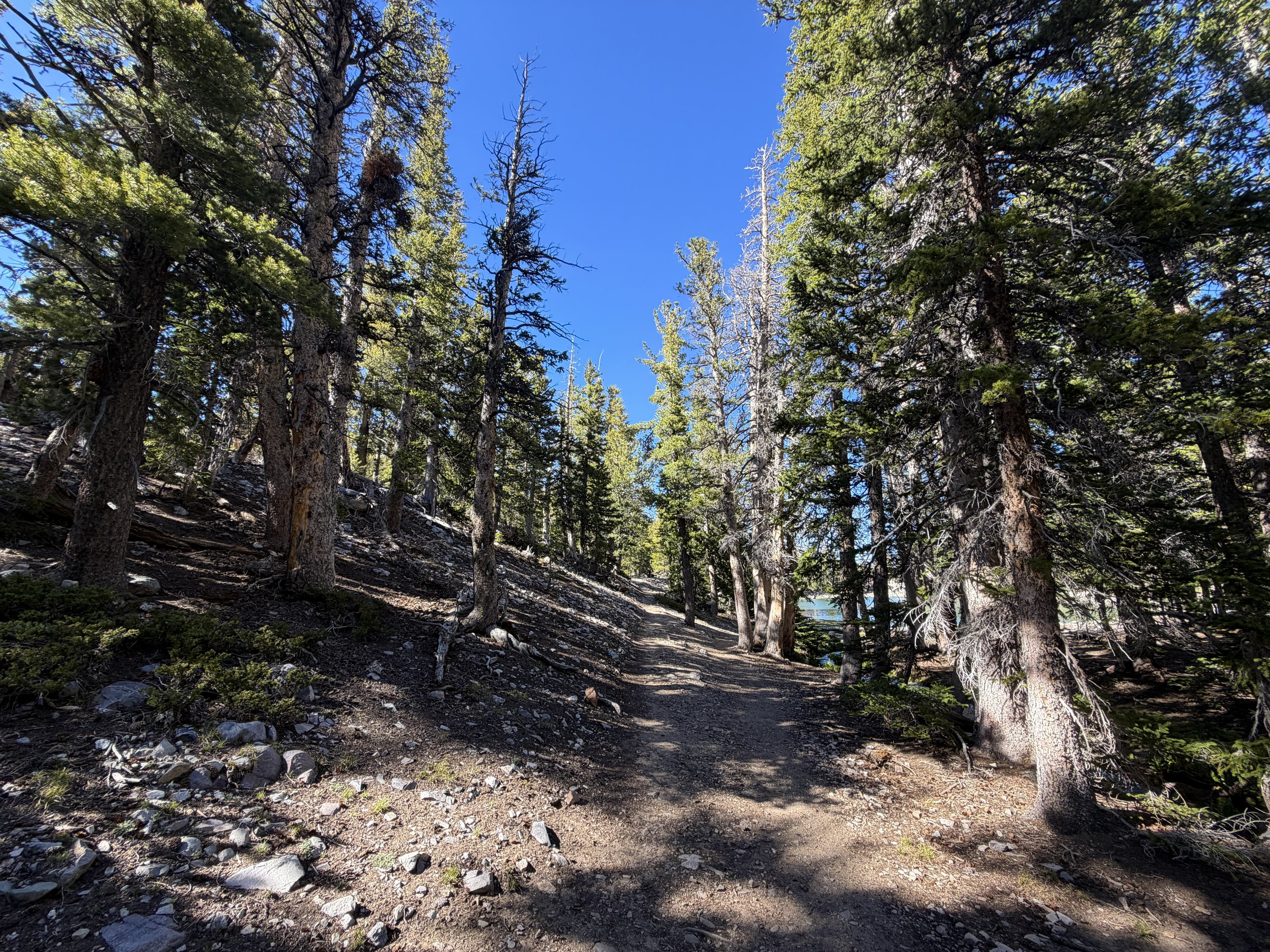 Alpine Lakes Loop Trail Great Basin National Park Nevada
