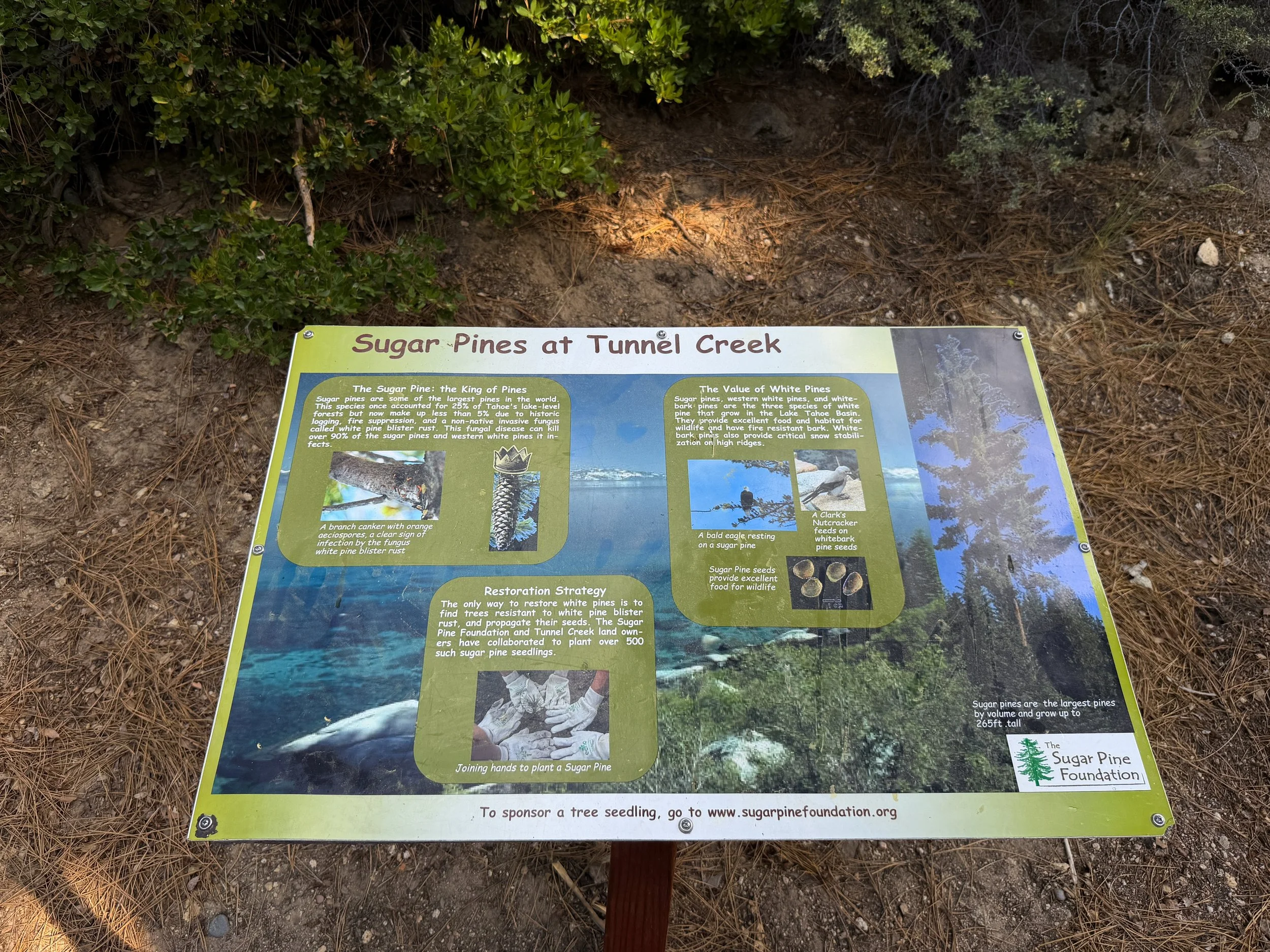 Monkey Rock Trailhead Lake Tahoe Nevada