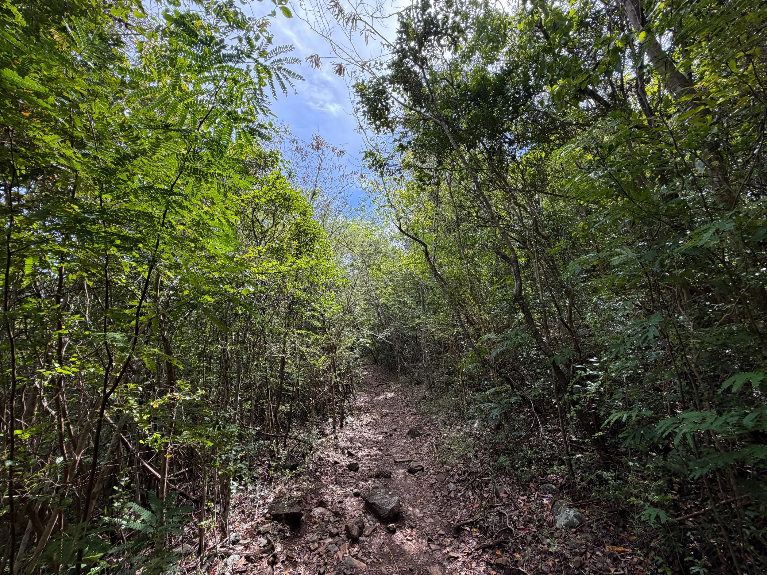 Lower Lind Point Trail Virgin Islands National Park