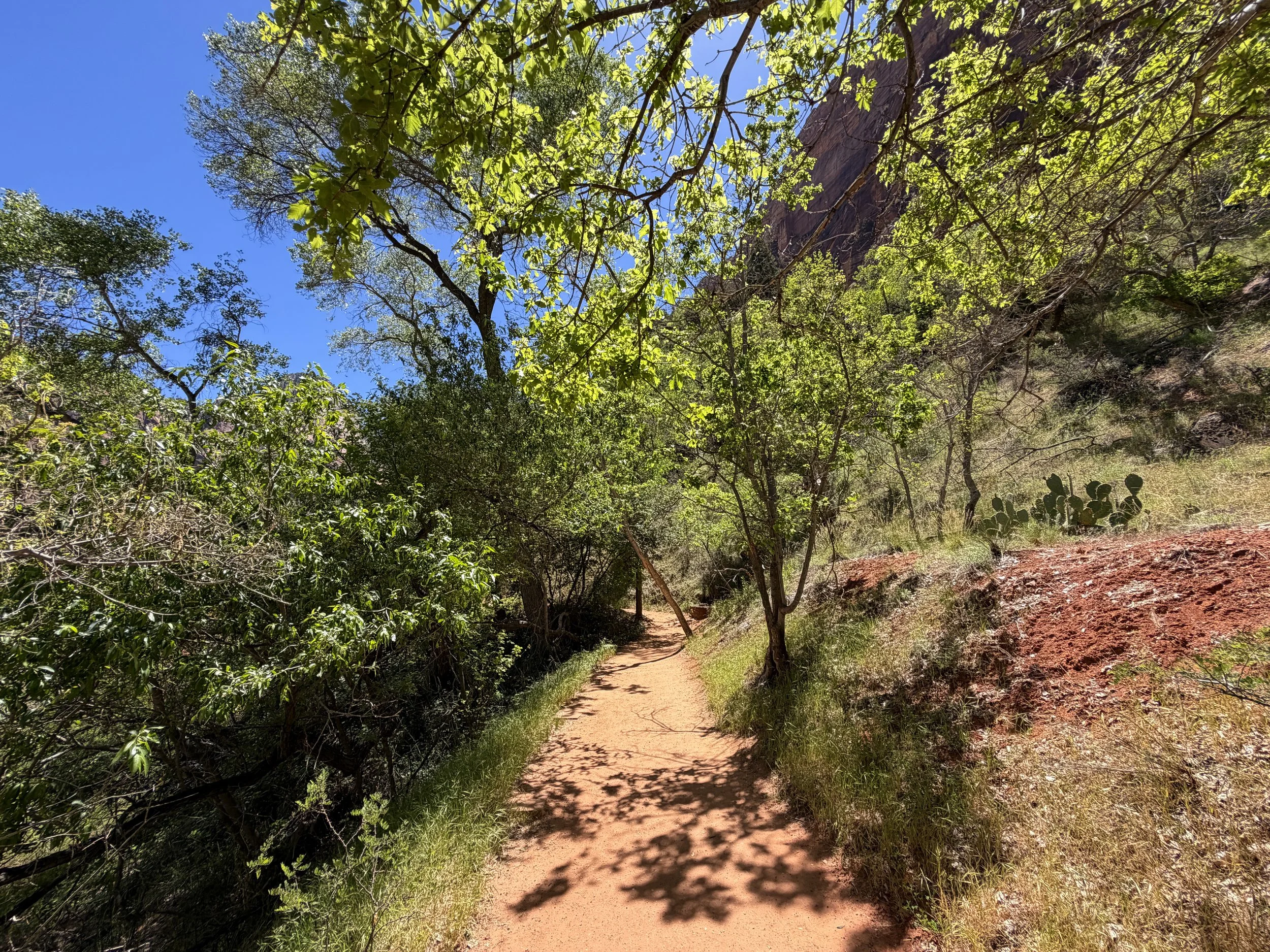 Sand Bench Trail via Emerald Pools Trail Zion National Park Utah