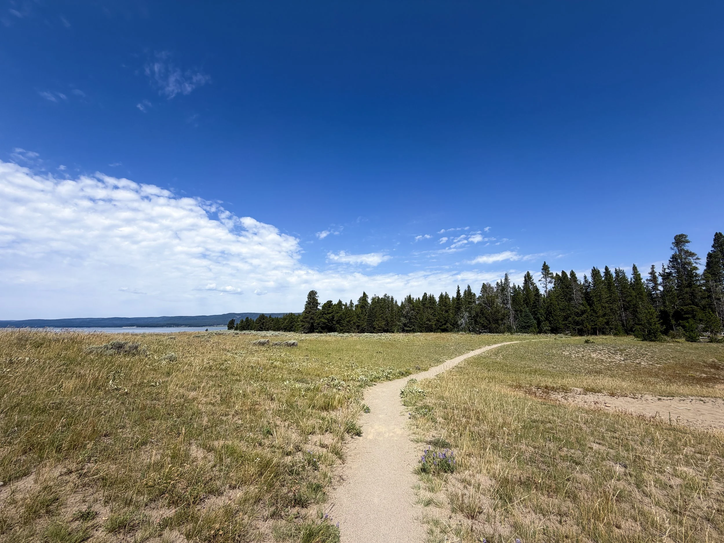 Storm Point Trail Yellowstone National Park Wyoming