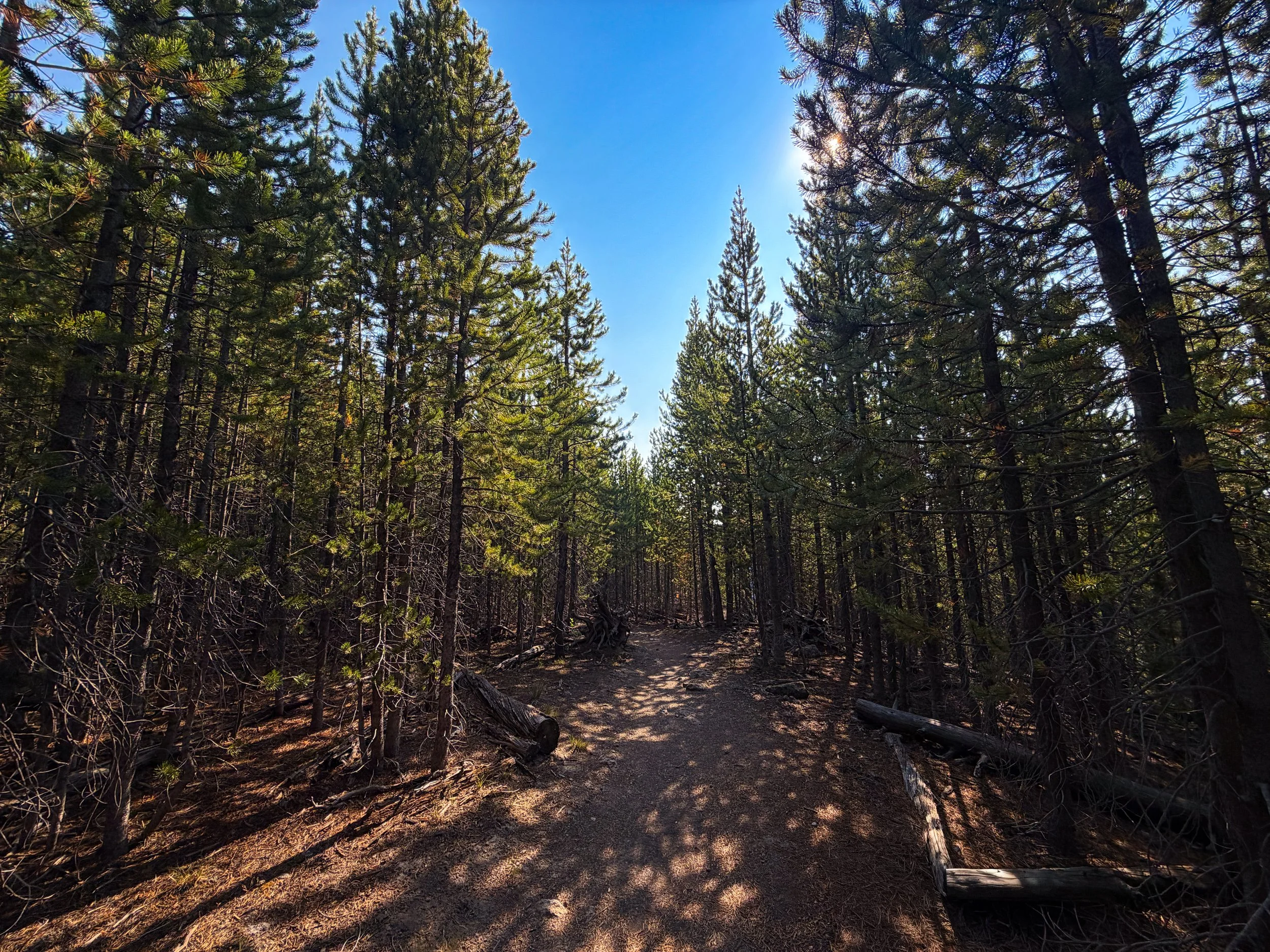 Mystic Falls Loop Trail Yellowstone National Park Wyoming