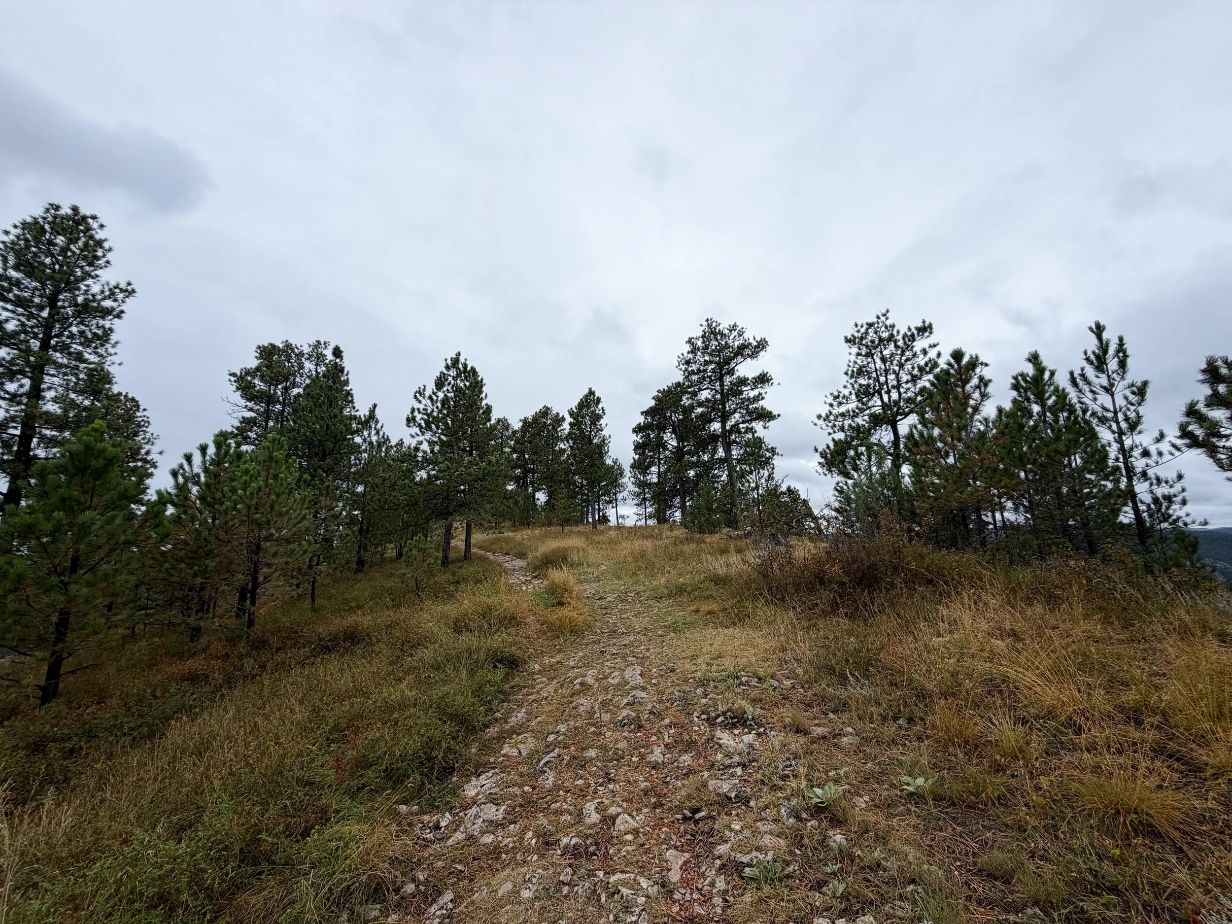 Buzzards Roost Trail Black Hills Rapid City South Dakota