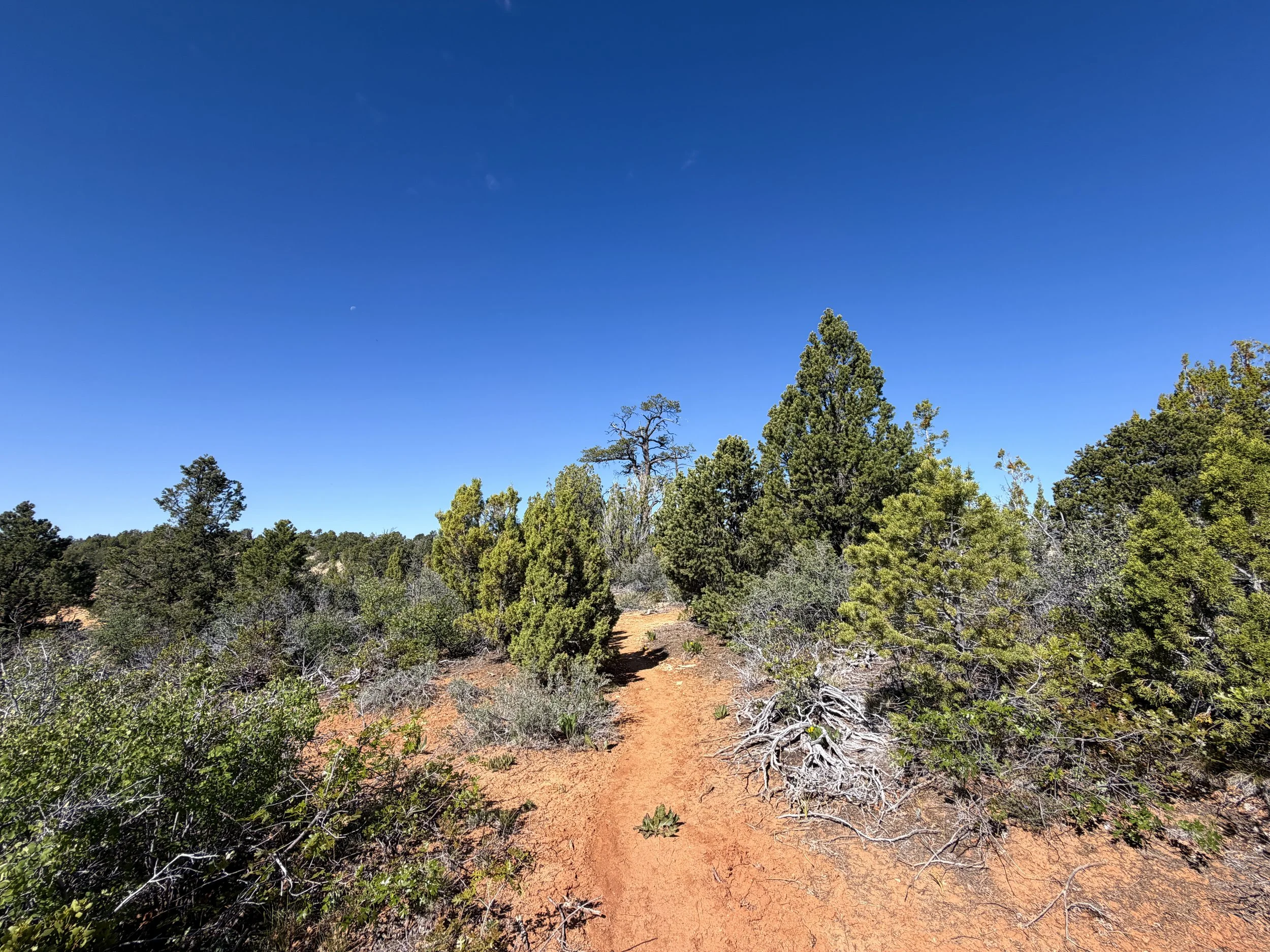 Deertrap Mountain Trail Zion National Park Utah