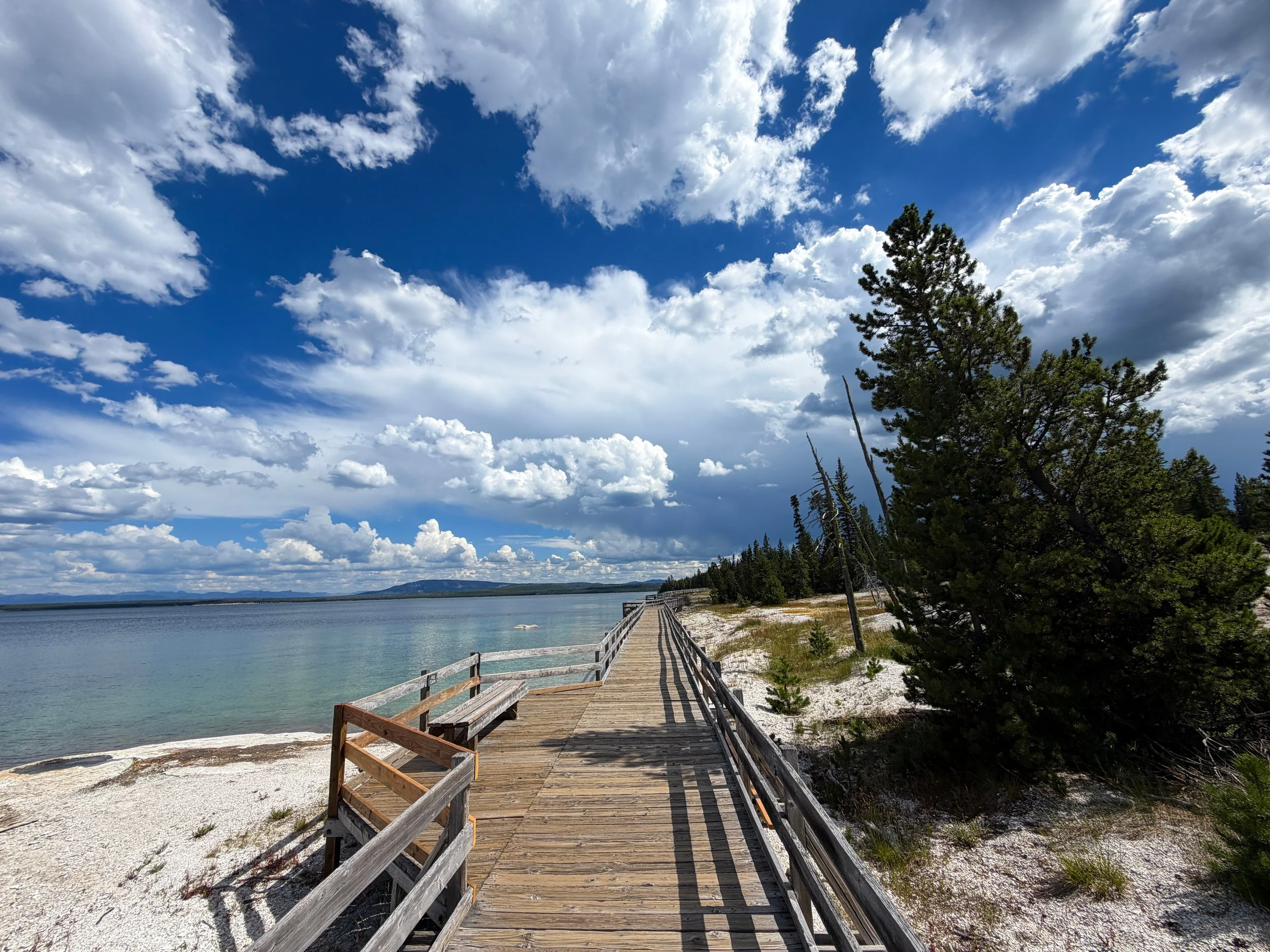West Thumb Geyser Basin Trail Yellowstone National Park Wyoming