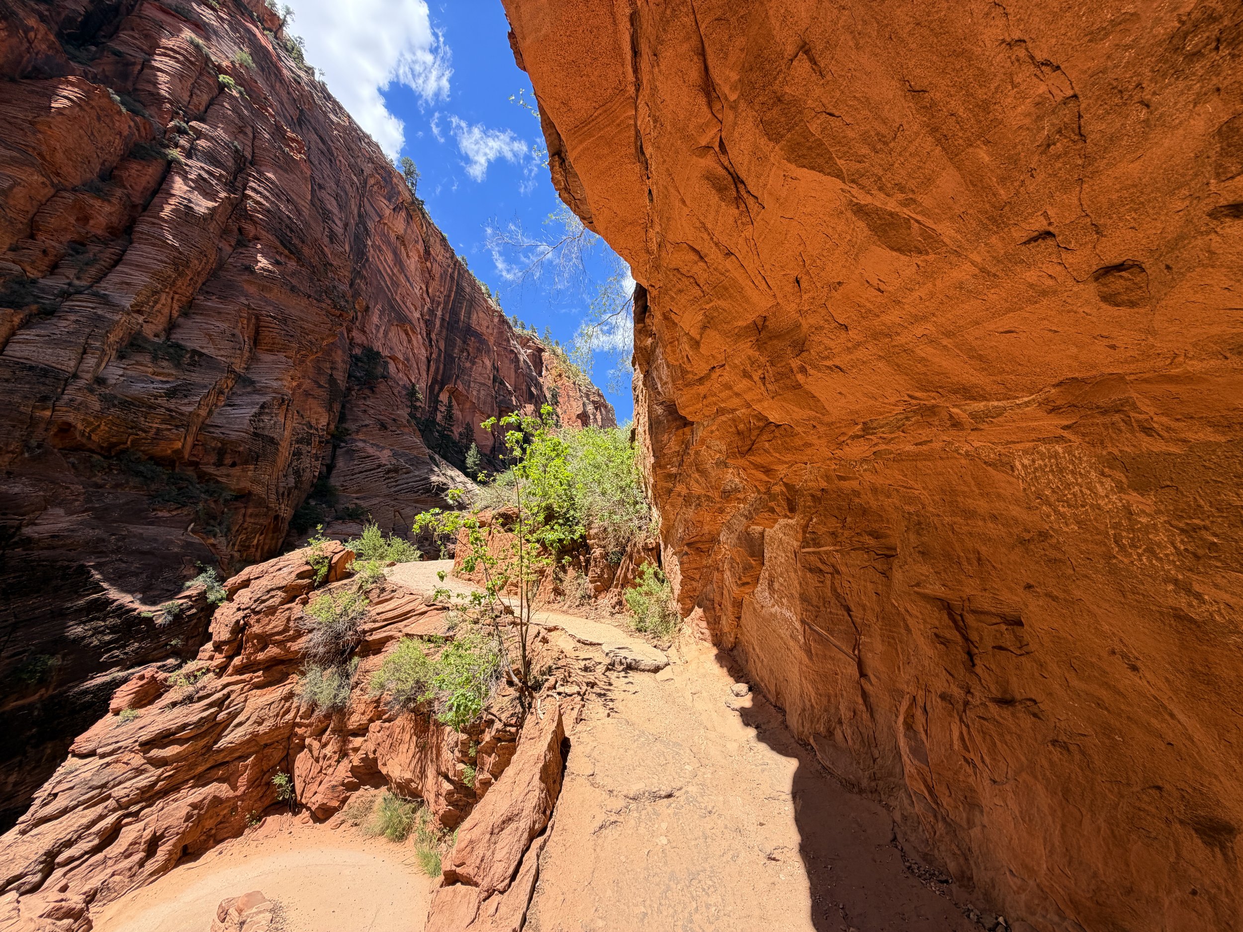 Angels Landing Trail Zion National Park Utah