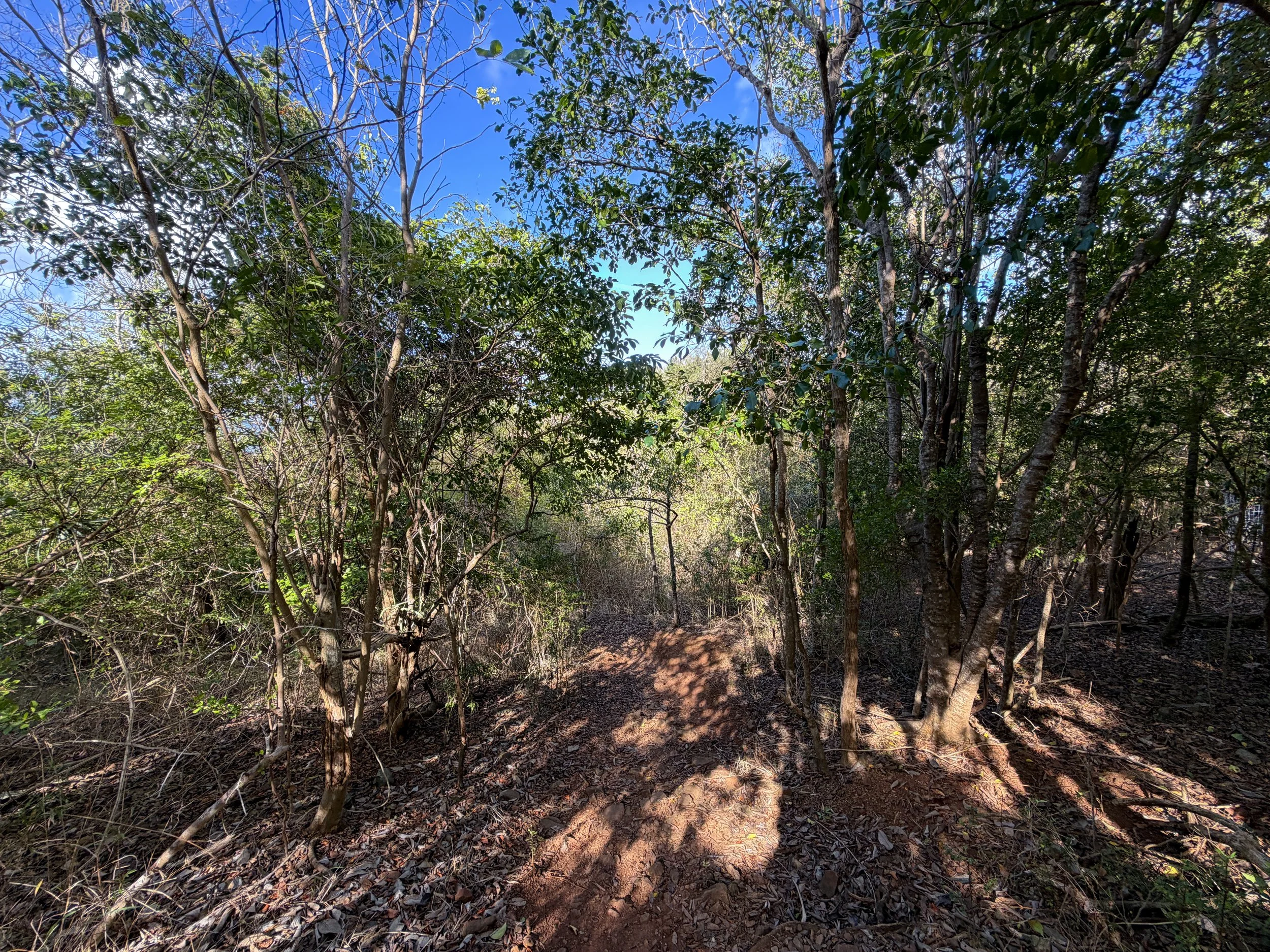 Denis Bay Trail Virgin Islands National Park