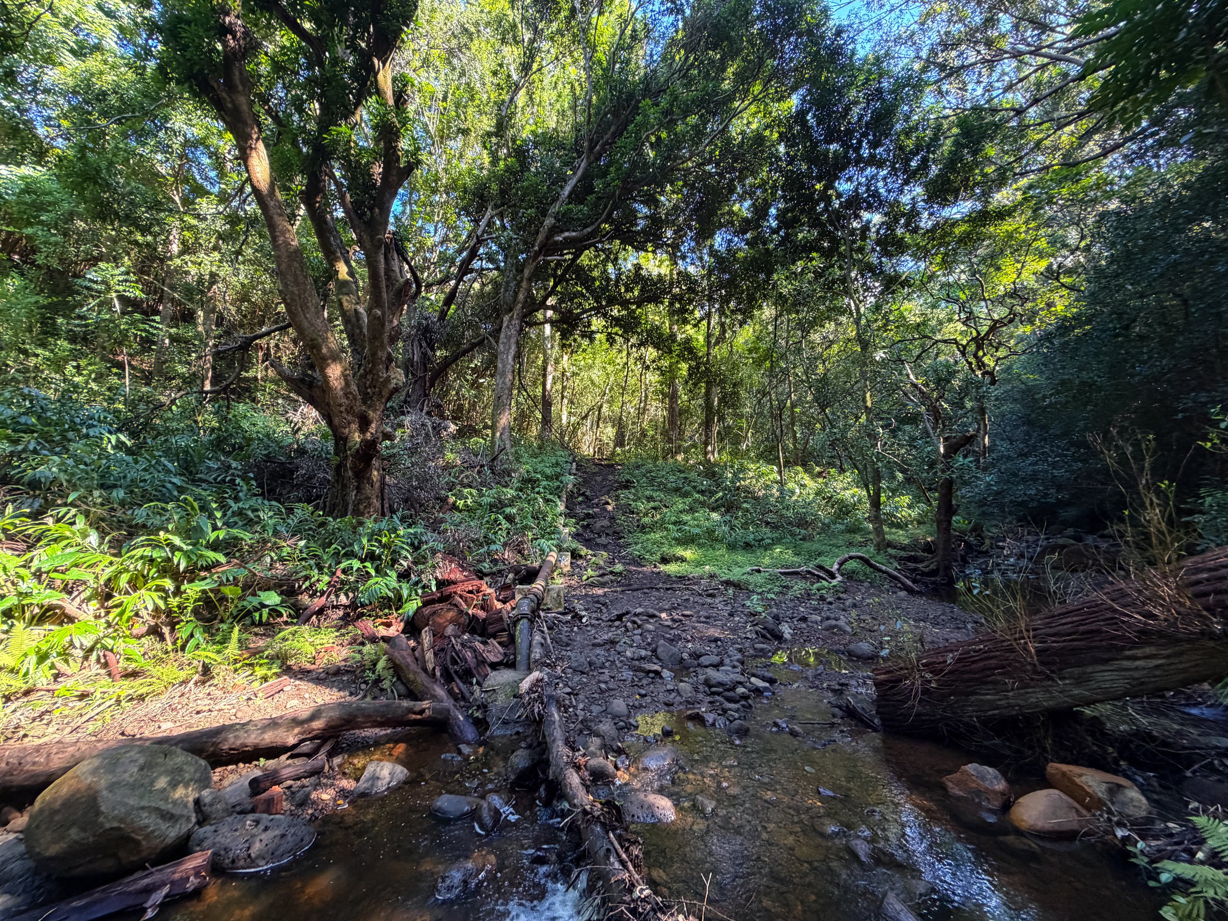 Kaau Crater Trail Oahu Hawaii