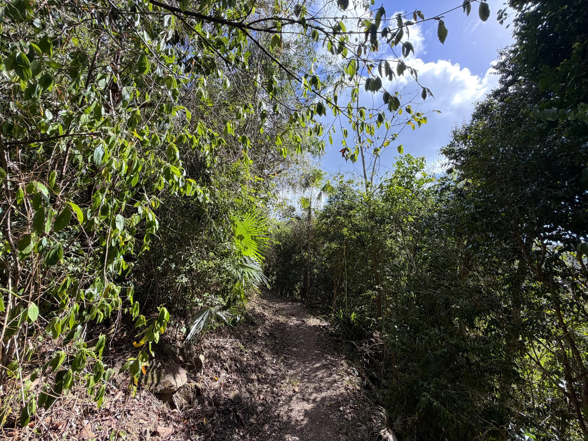 Cinnamon Bay Trail Virgin Islands National Park