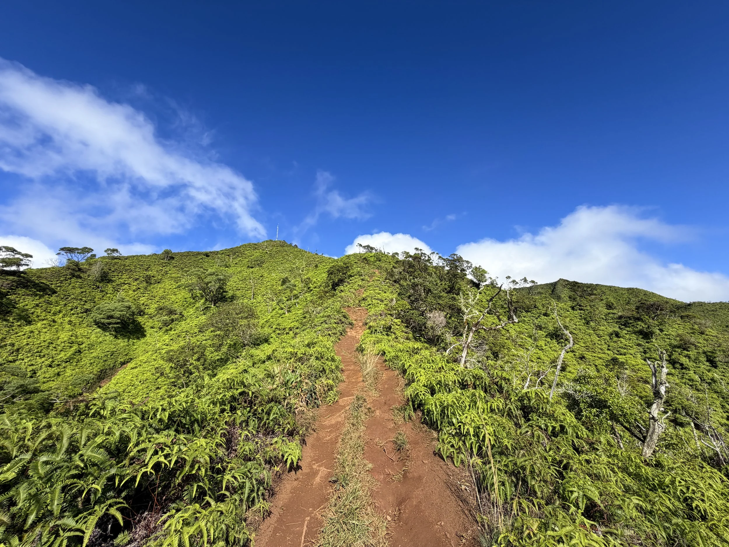 Wiliwilinui Ridge Hike Oahu Hawaii