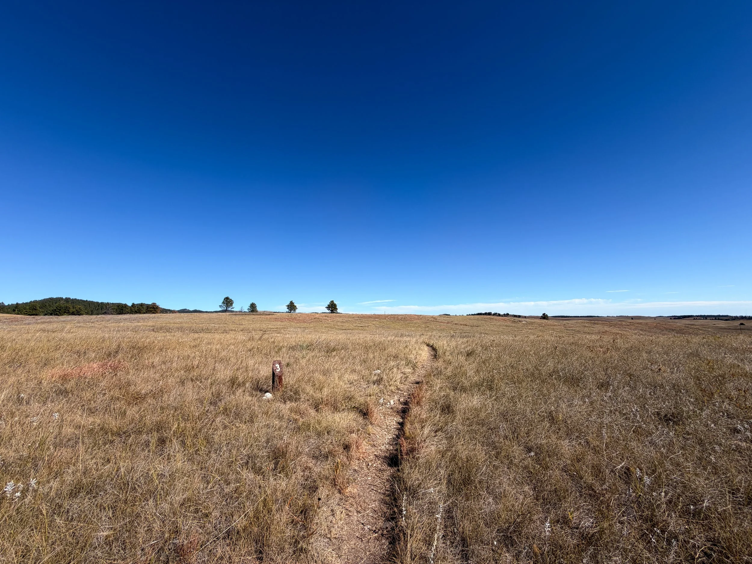 Elk Mountain Trail Wind Cave National Park South Dakota