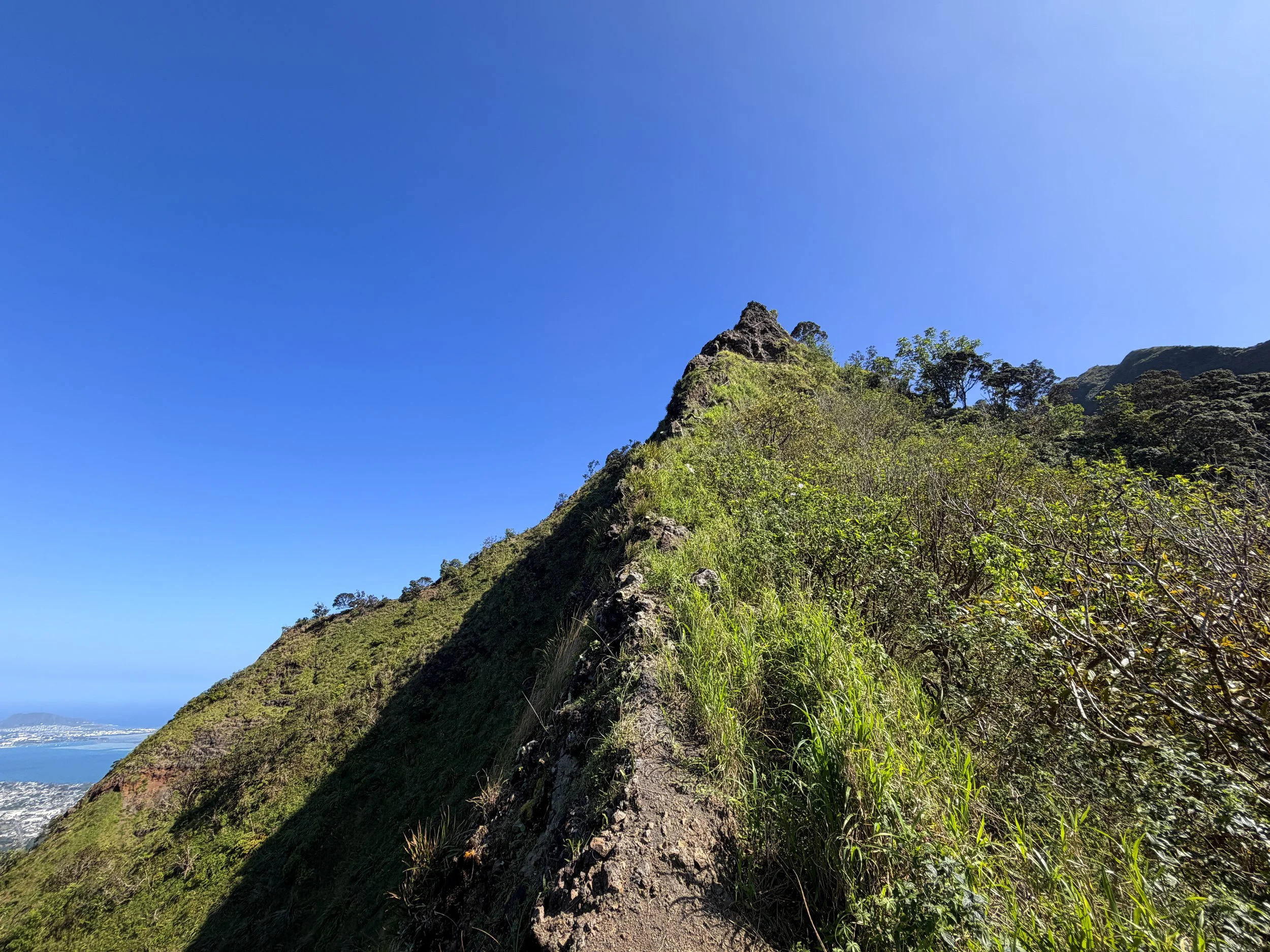 Moanalua Saddle Koolau Summit Trail Oahu Hawaii