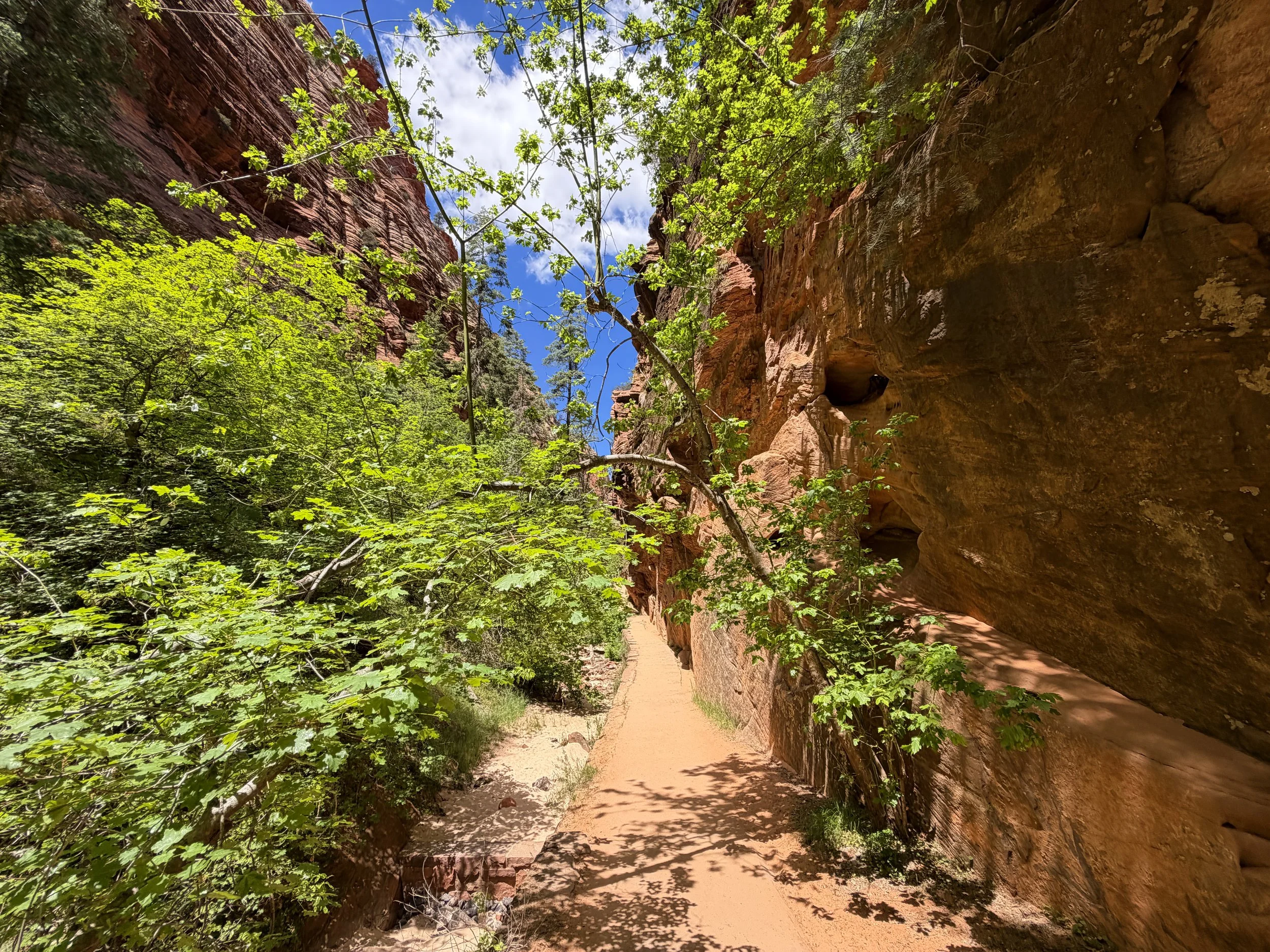 Angels Landing Hike Zion National Park Utah