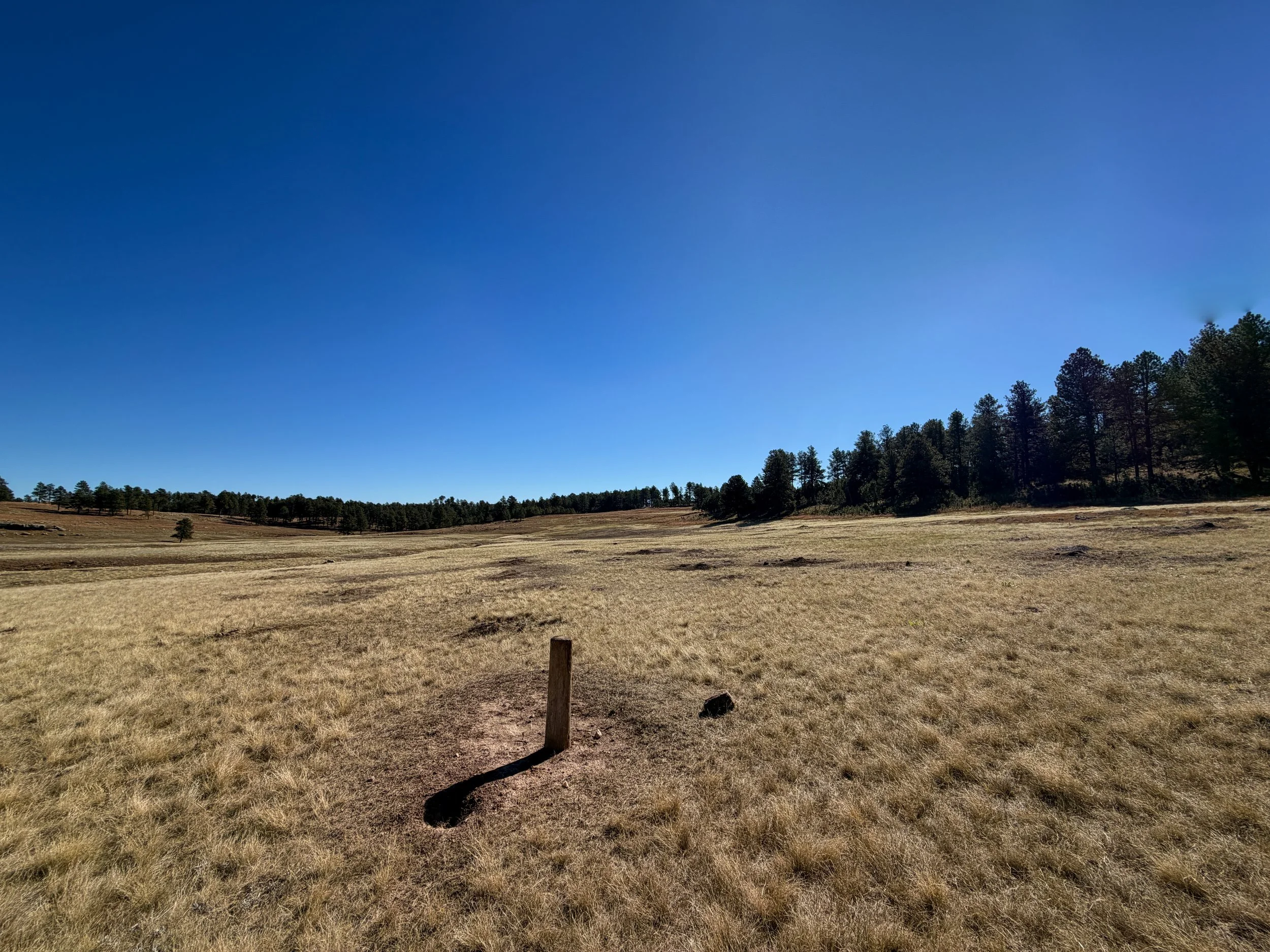 Sanctuary Trail Wind Cave National Park South Dakota