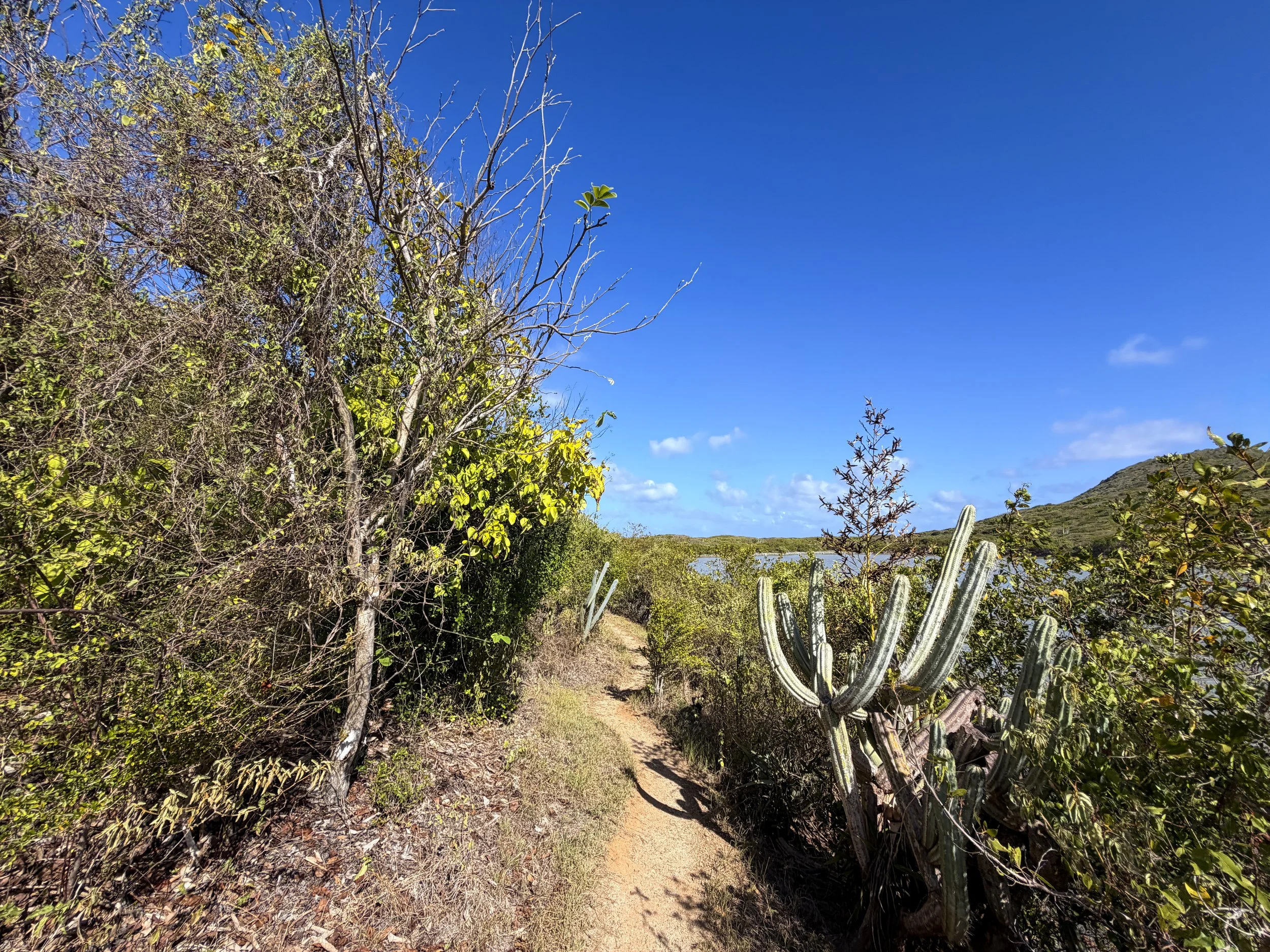 Drunk Bay Hike Virgin Islands National Park