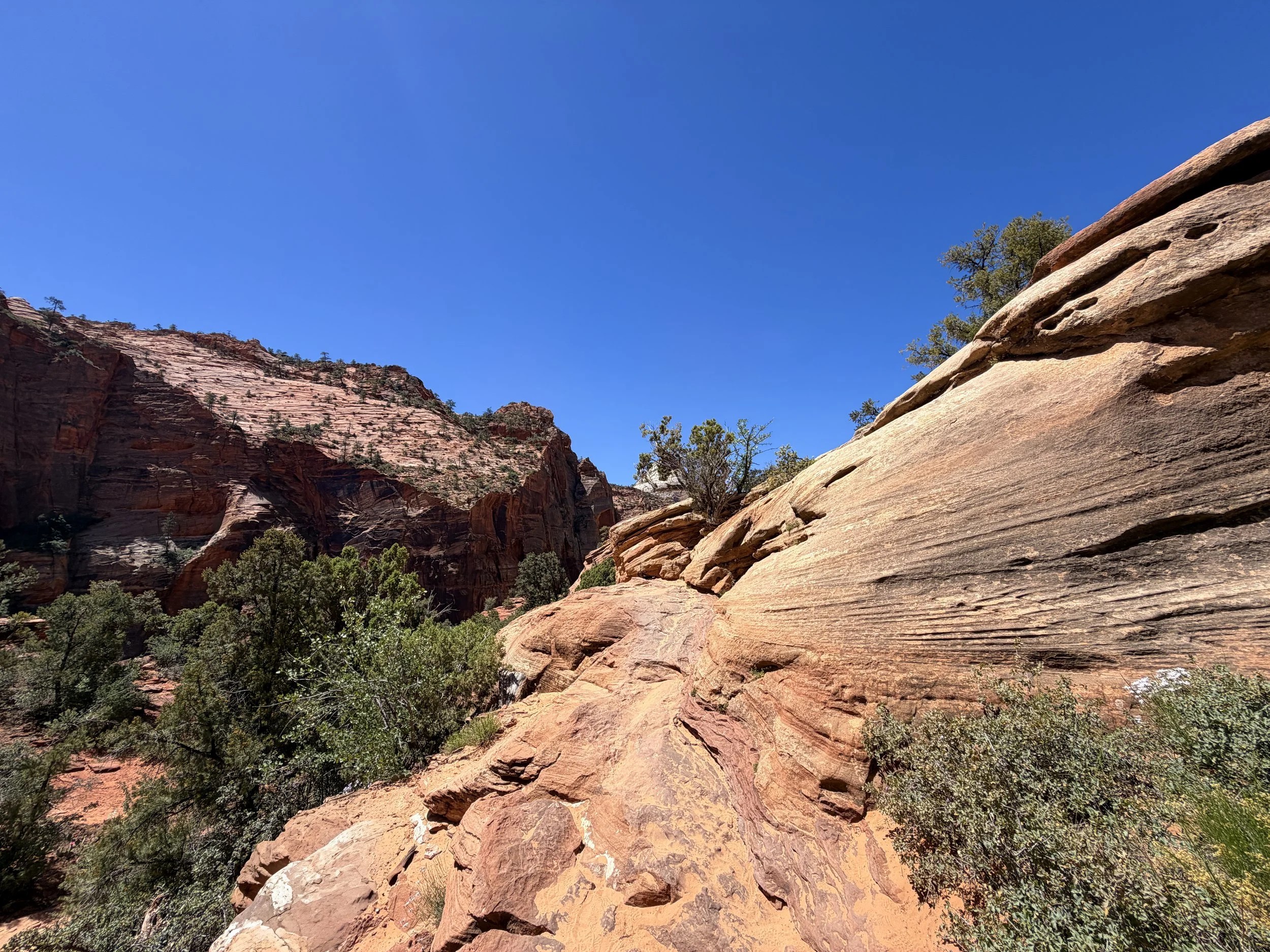 Canyon Overlook Trail Zion National Park Utah