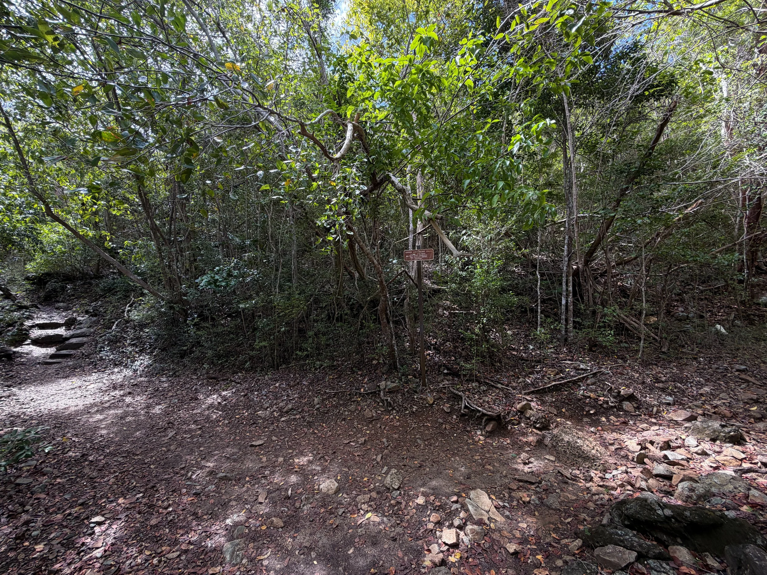 Lind Point Trail Virgin Islands National Park