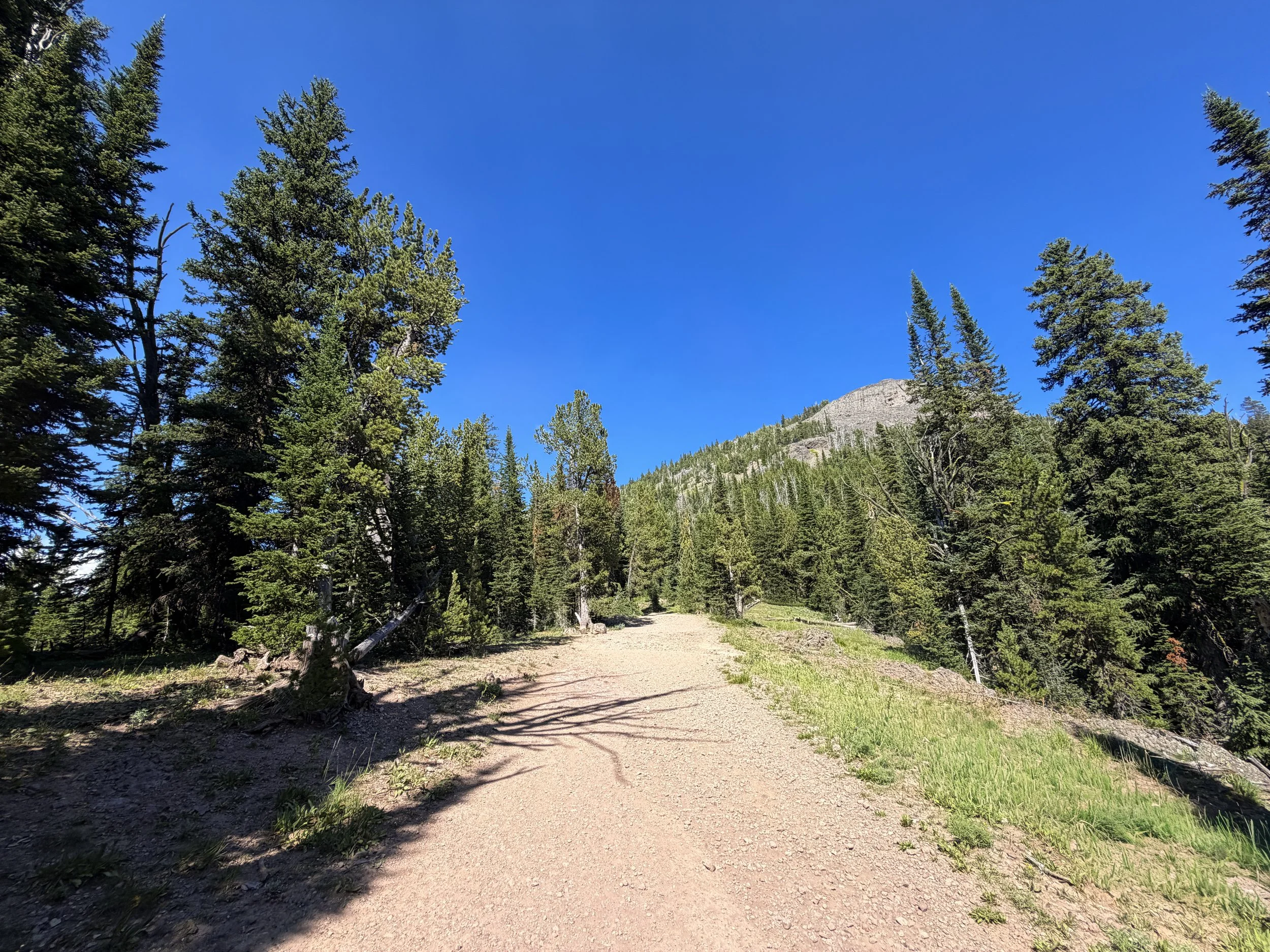 Mount Washburn Hike via Dunraven Pass Yellowstone National Park Wyoming