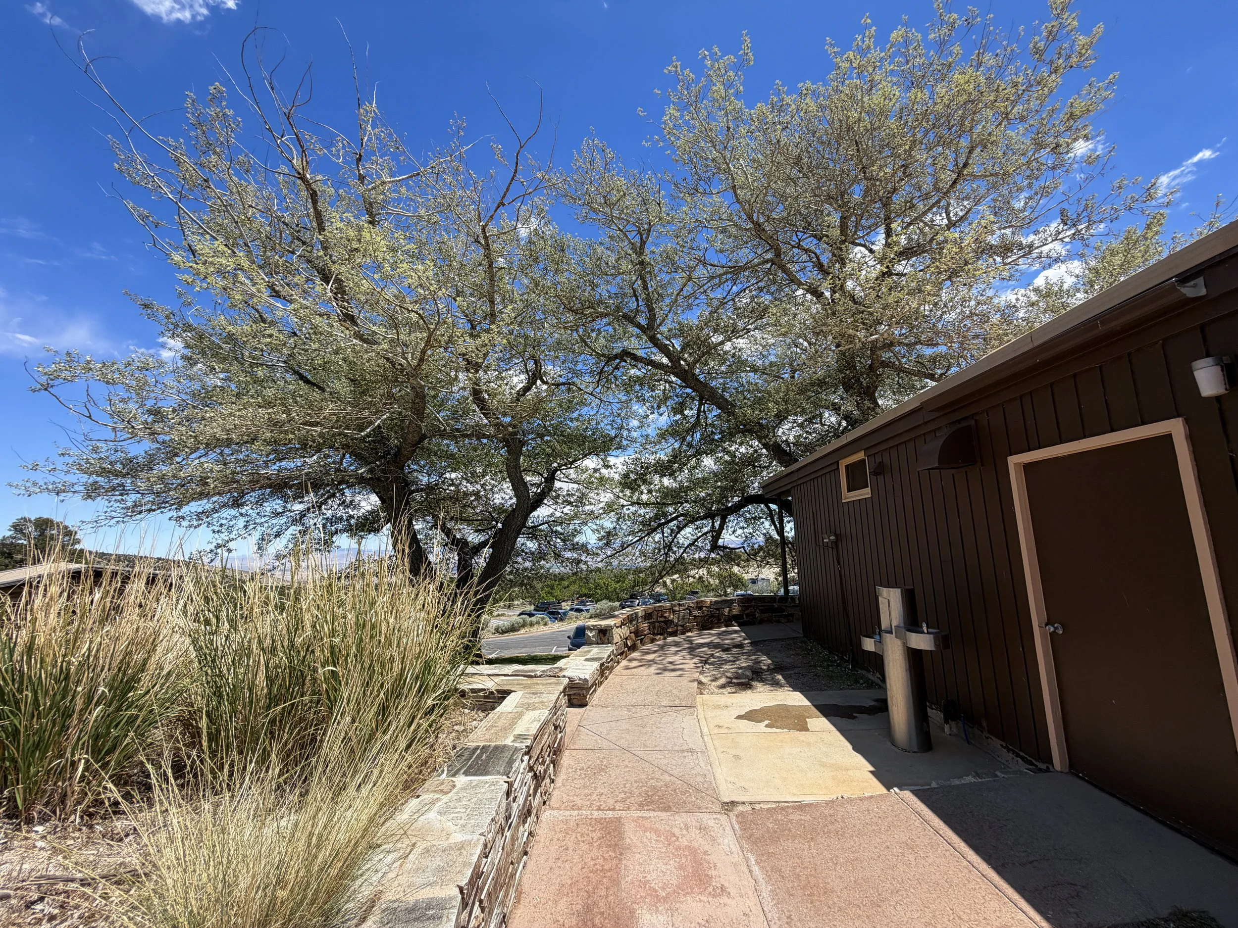 Mountain View Nature Trail Great Basin National Park Nevada