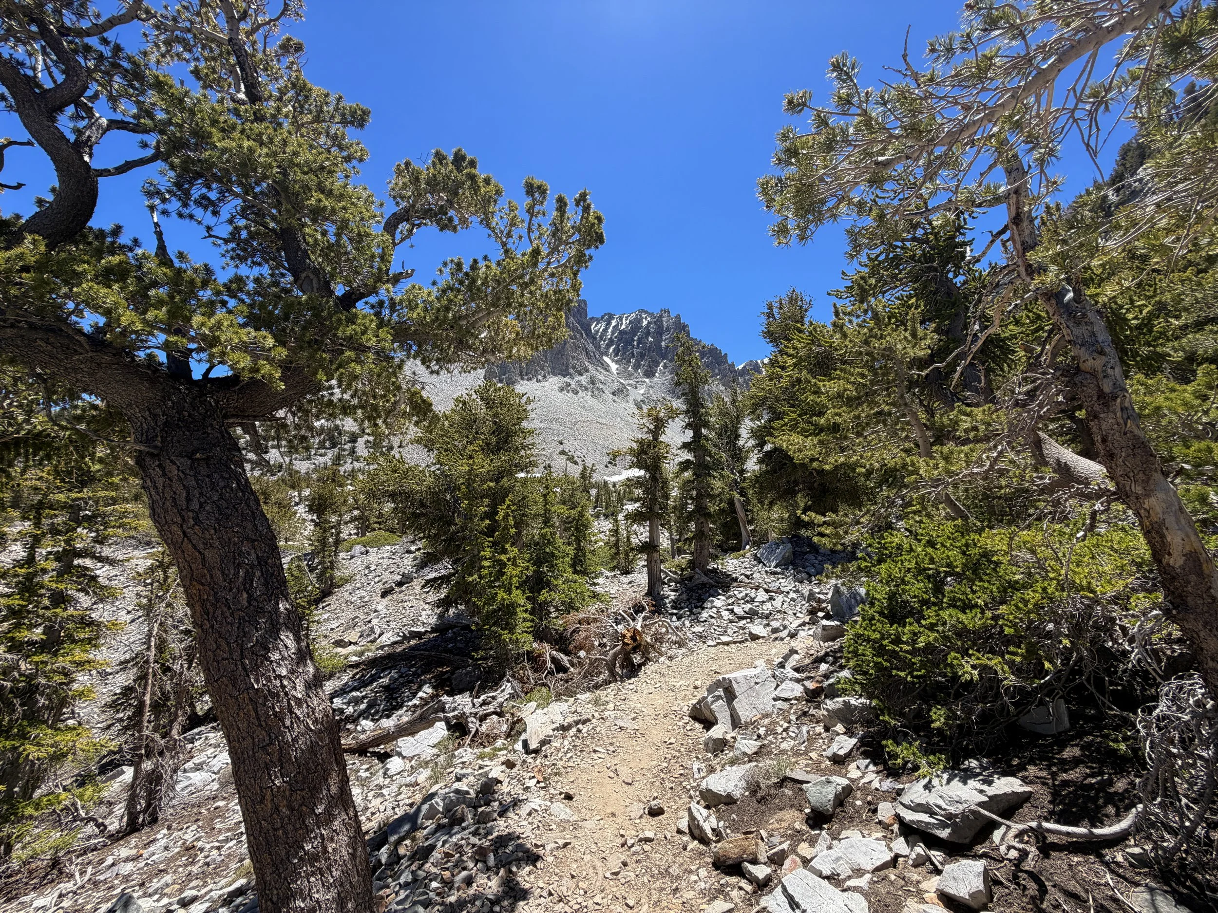 Bristlecone Pine Loop Trail Great Basin National Park Nevada