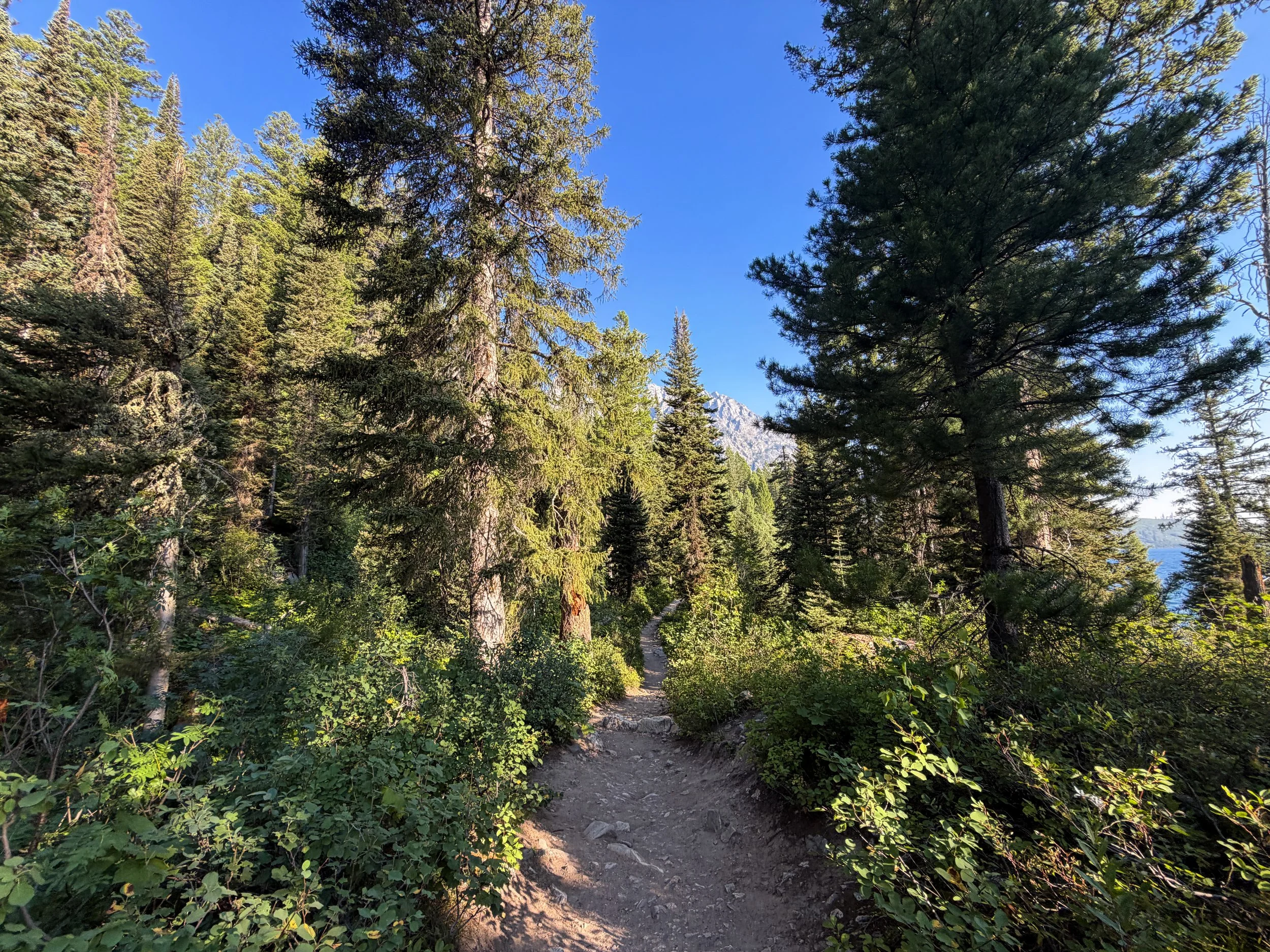 Hidden Falls via Jenny Lake Loop Trail Grand Teton National Park Wyoming