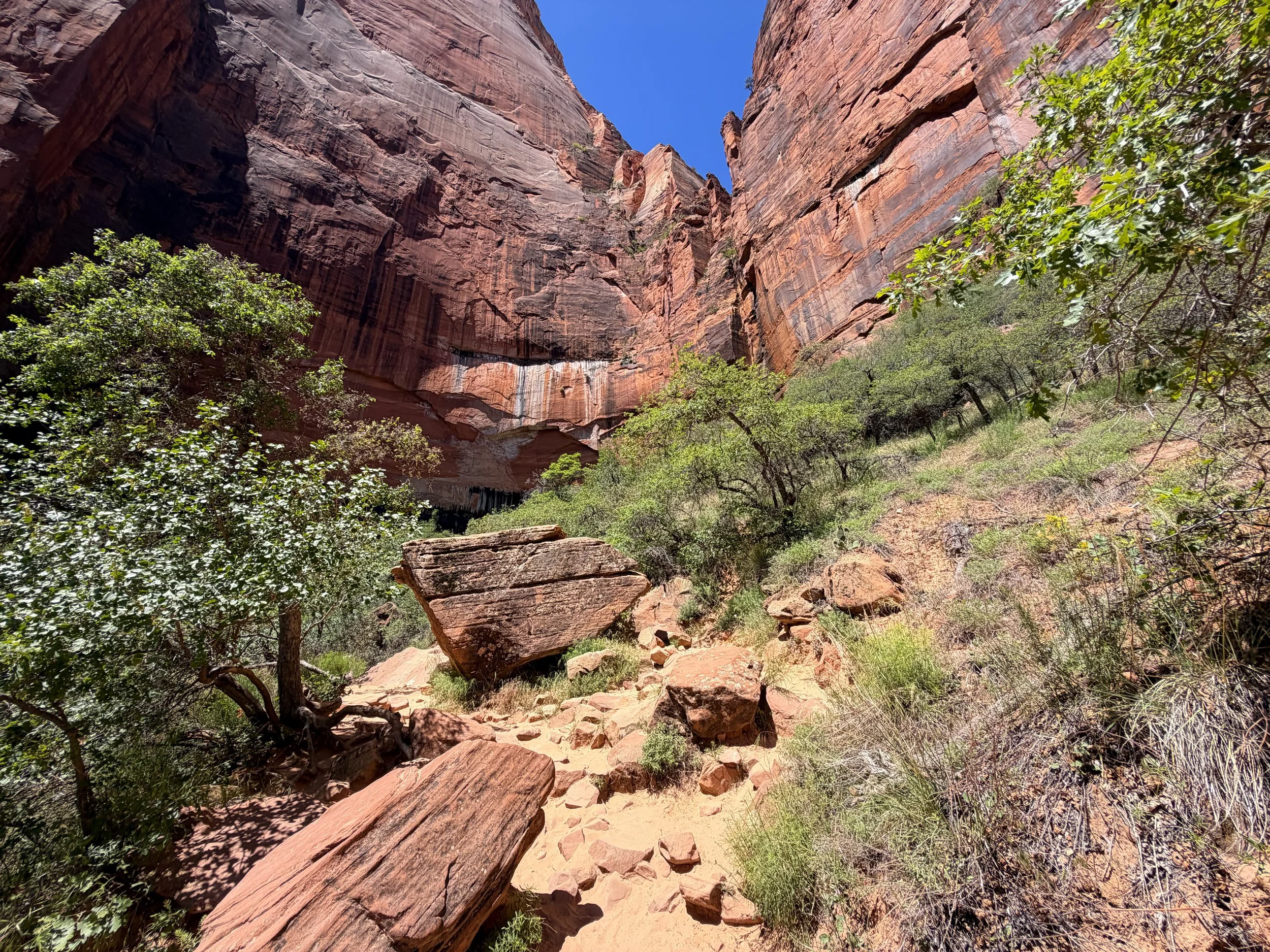 Upper Emerald Pool Trail Zion National Park Utah