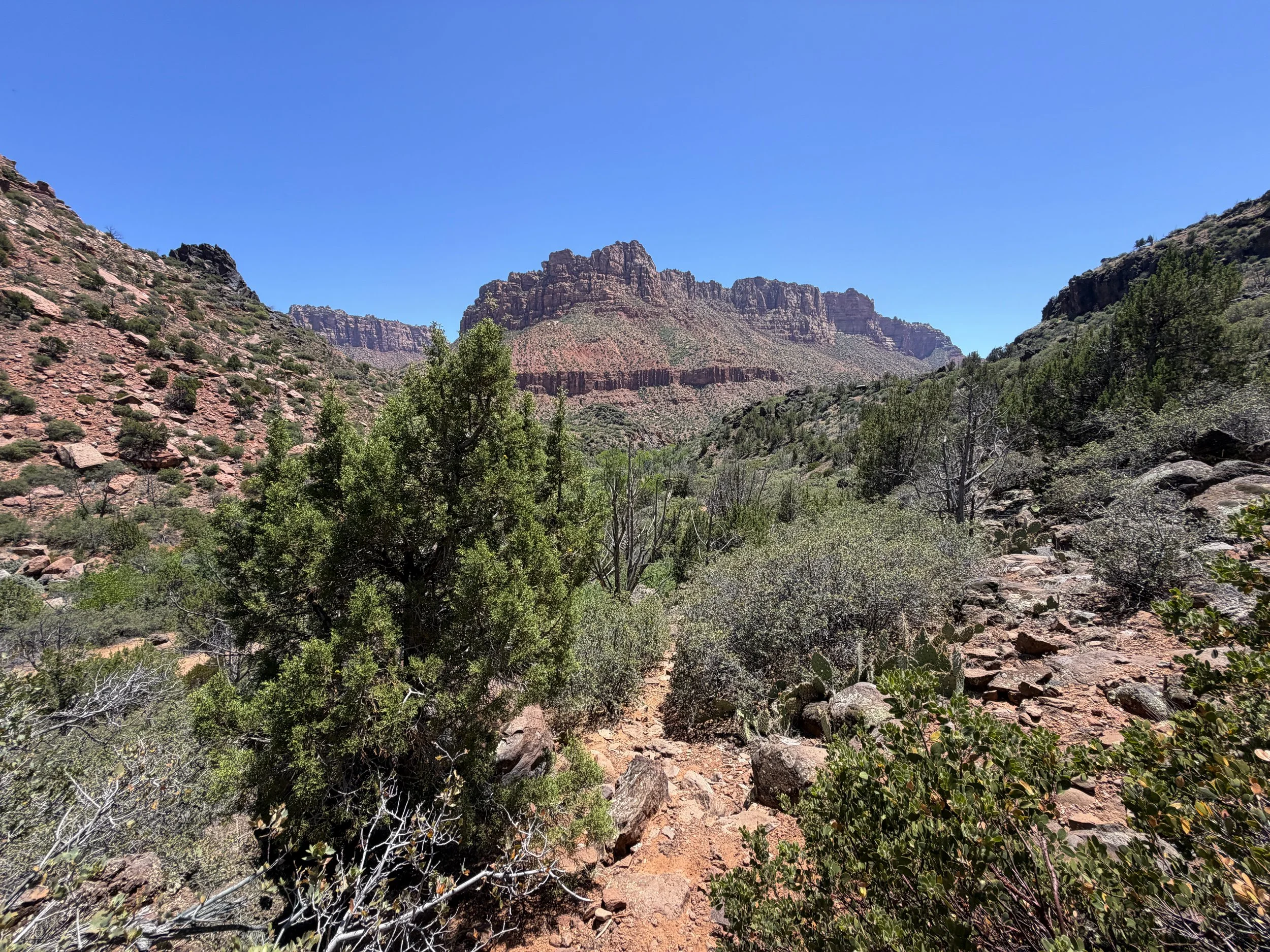 Grapevine Trail to Left Fork Falls Zion National Park Utah