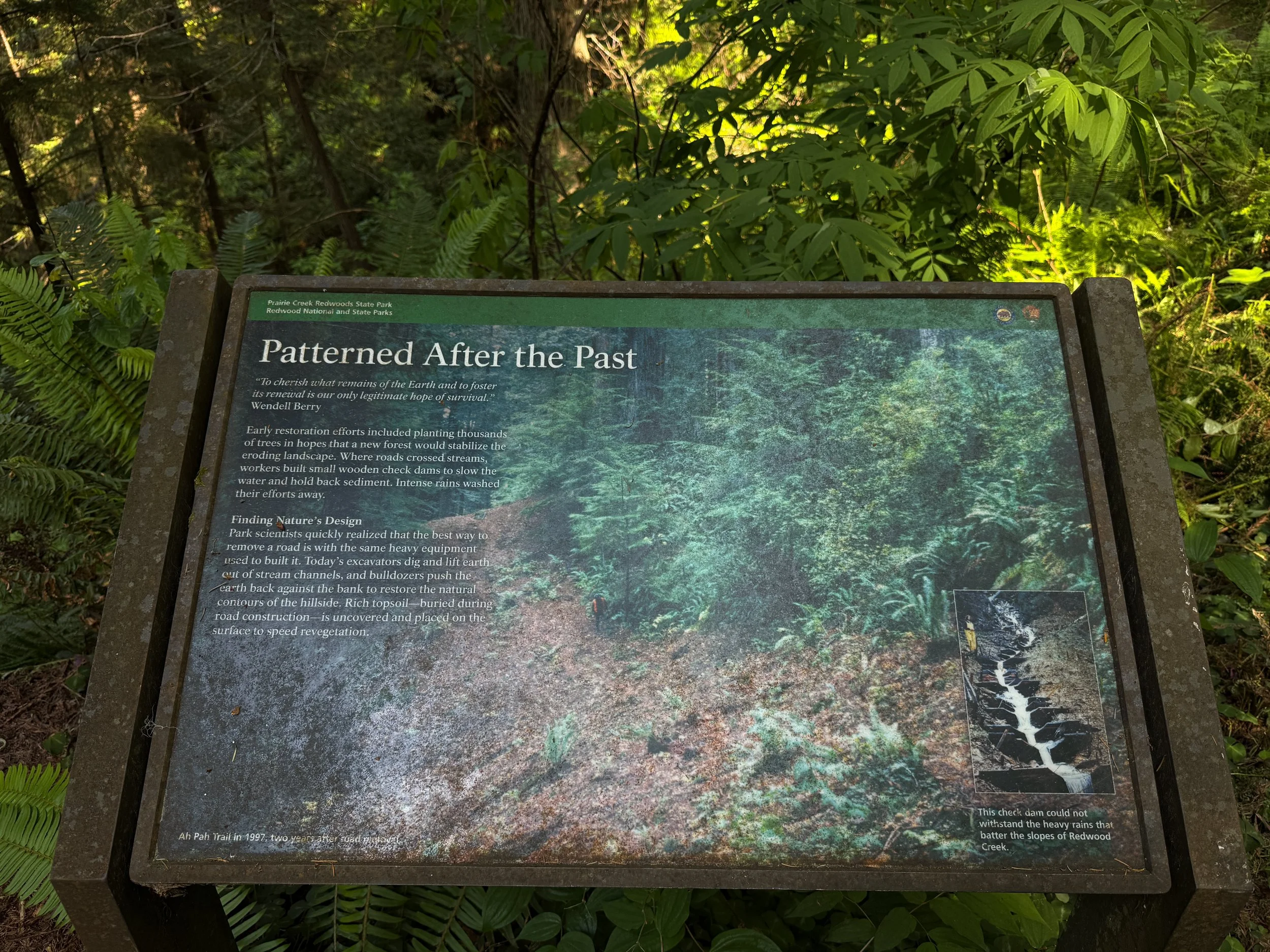 Ah Pah Interpretive Trail Prairie Creek Redwoods State Park California