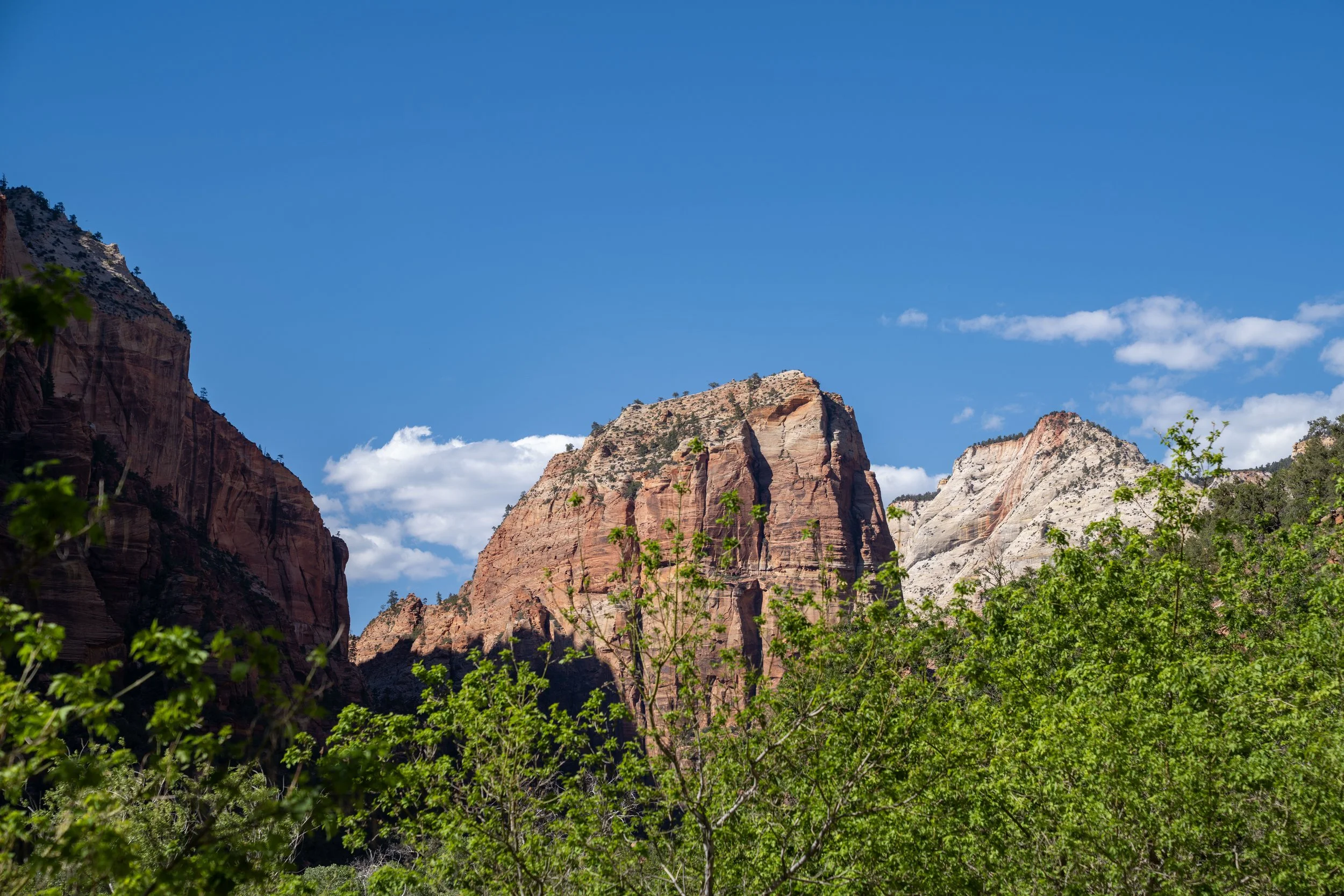 Grotto Trail Zion National Park Utah