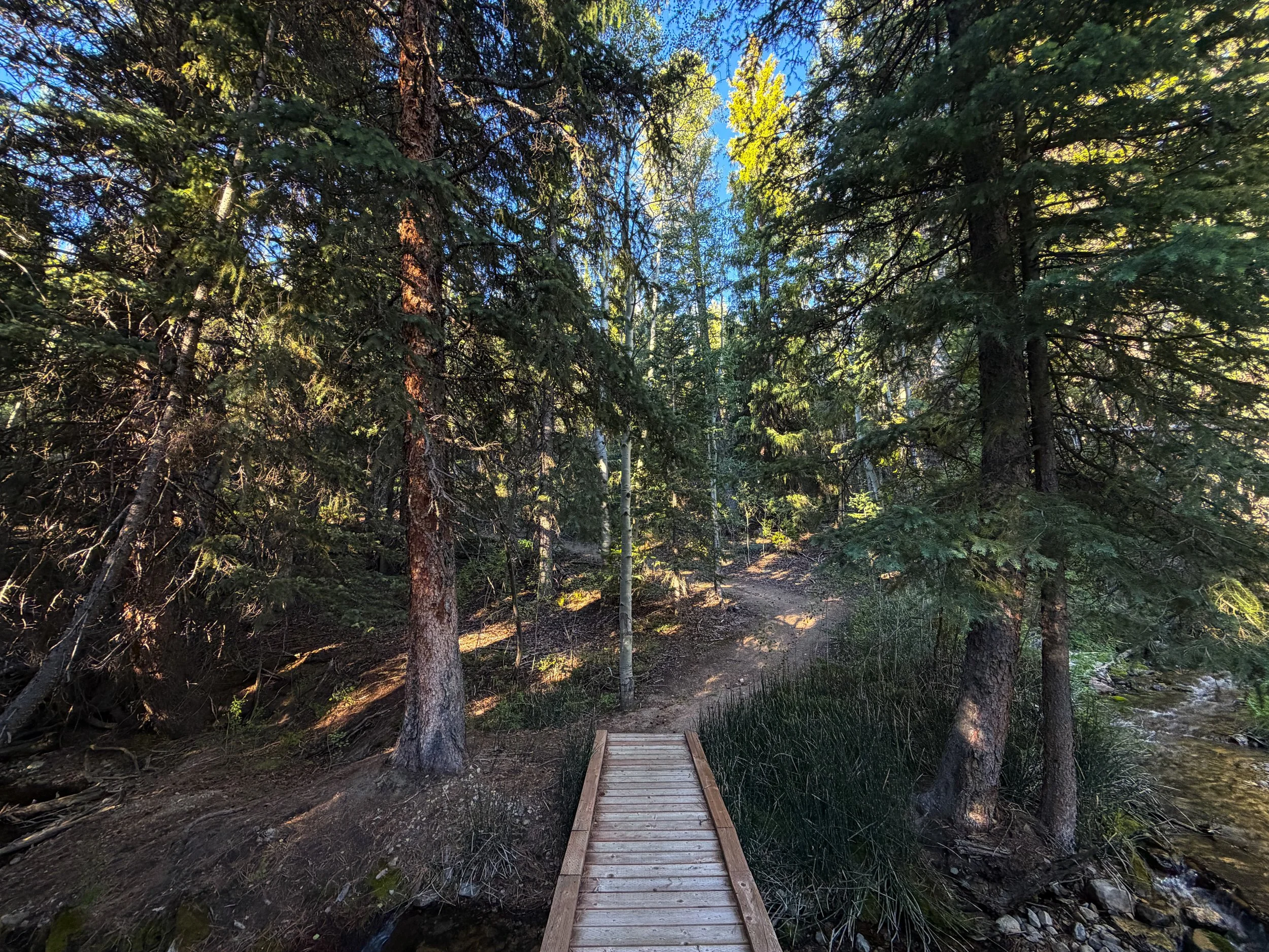Snake Divide Trail Great Basin National Park Nevada