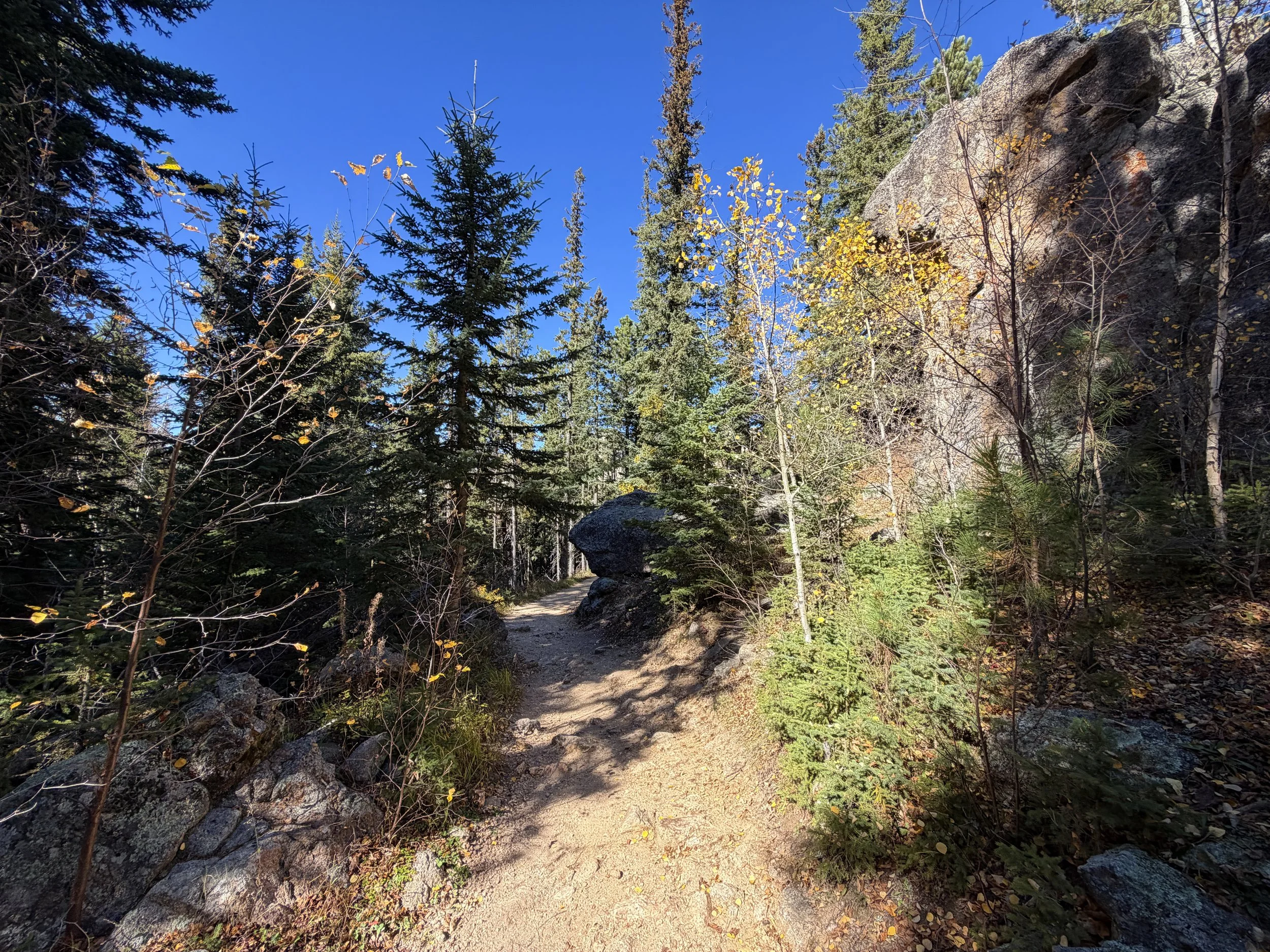 Black Elk Peak Trail Custer State Park Black Hills South Dakota