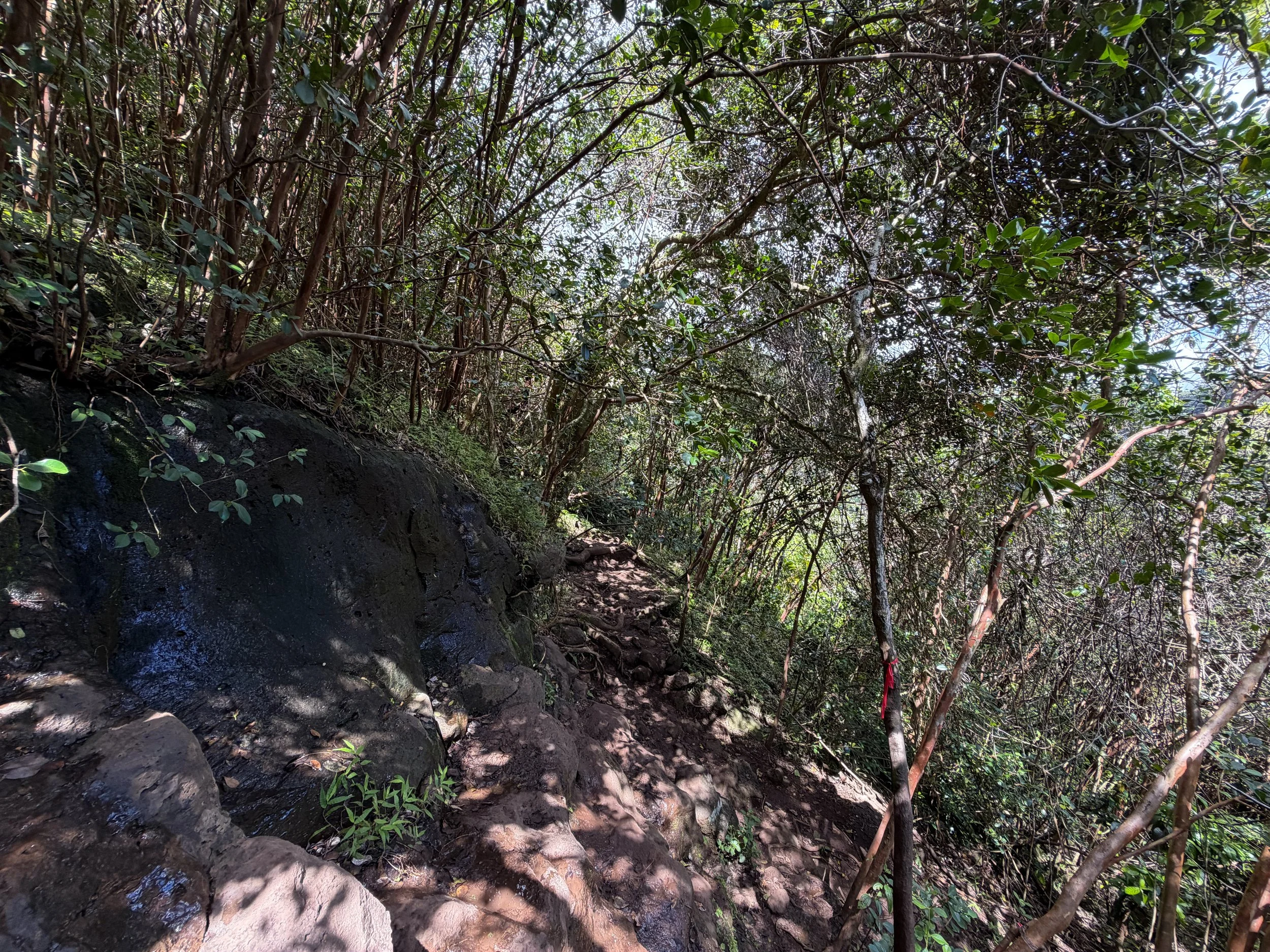 Waimano Pools Trail Oahu Hawaii