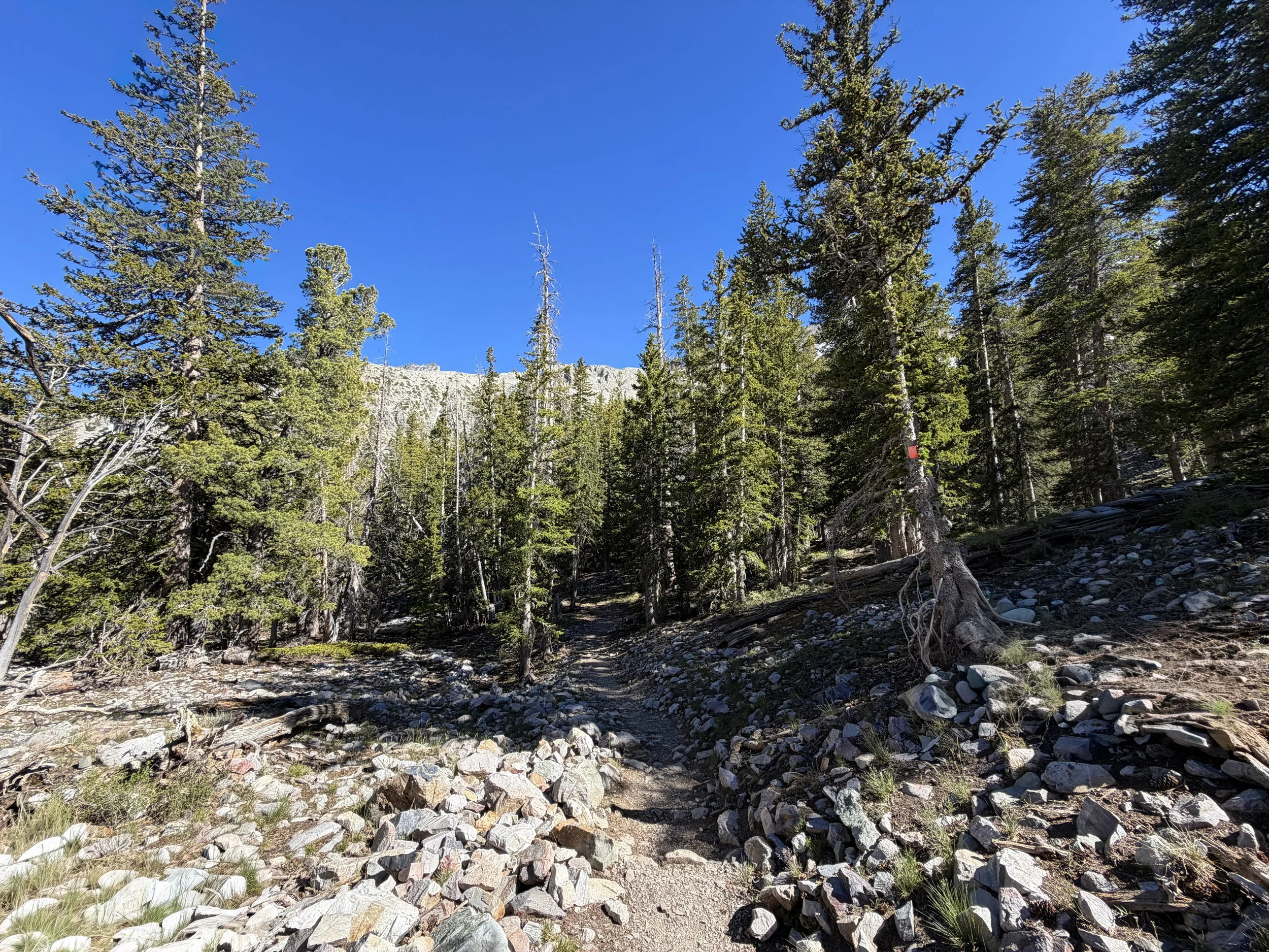 Alpine Lakes Loop Trail Great Basin National Park Nevada