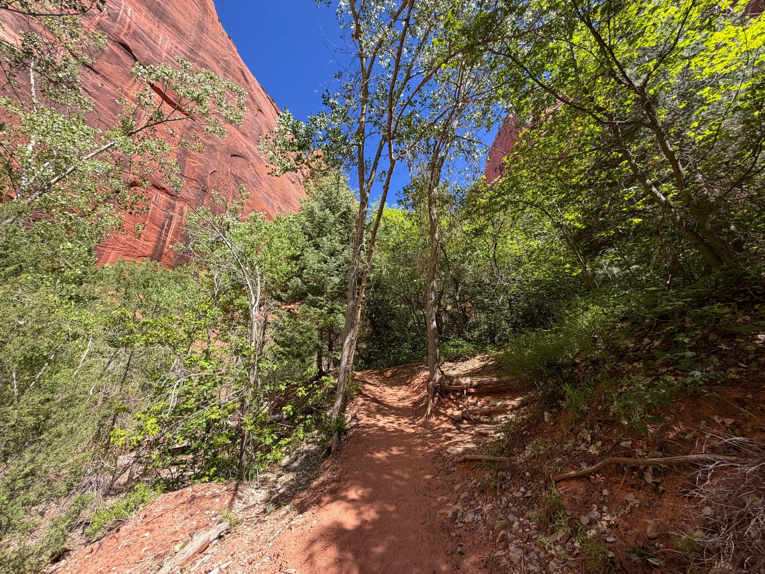 Taylor Creek Trail Zion National Park Utah