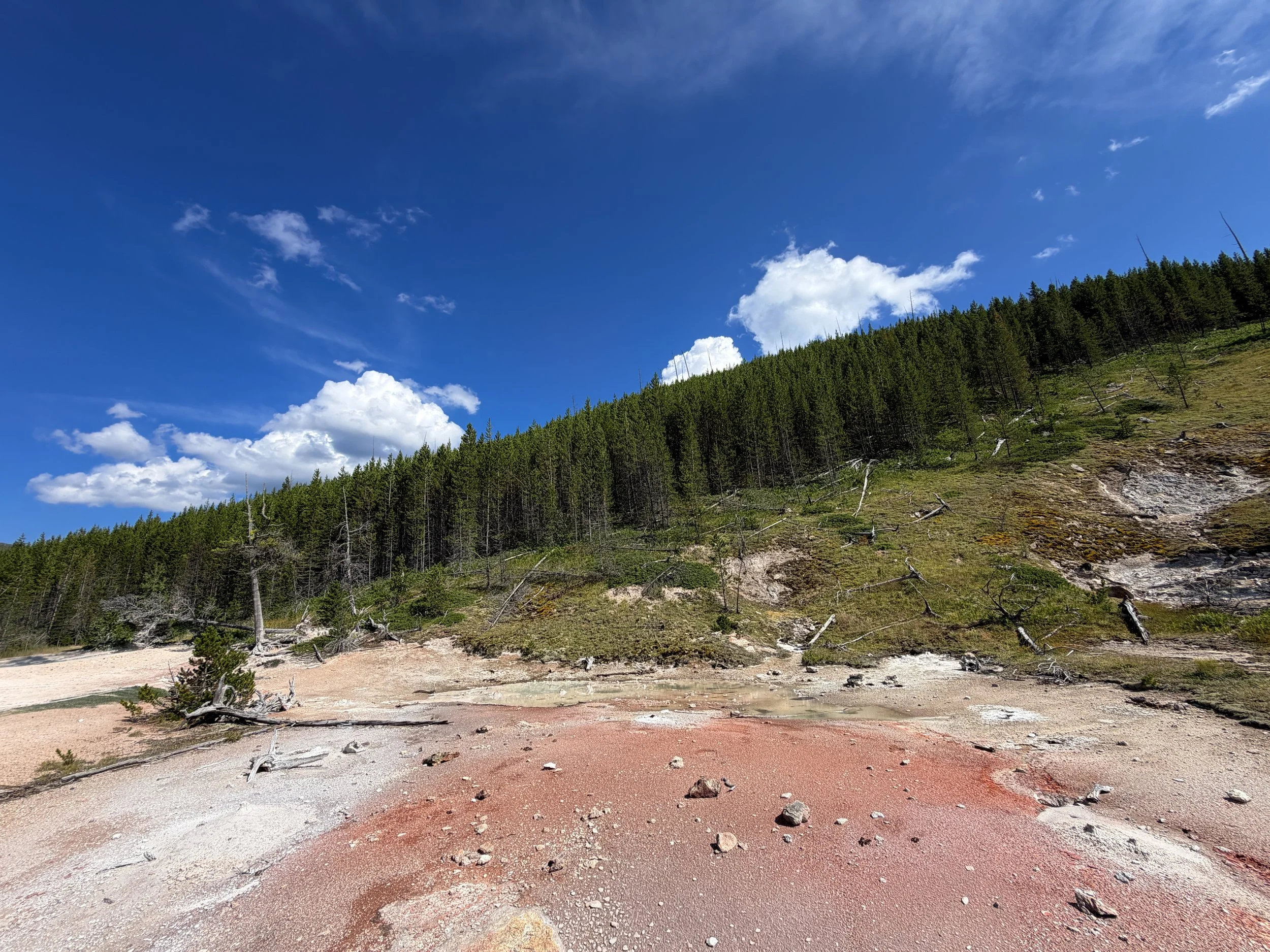 Artists Paintpots Trail Yellowstone National Park Wyoming