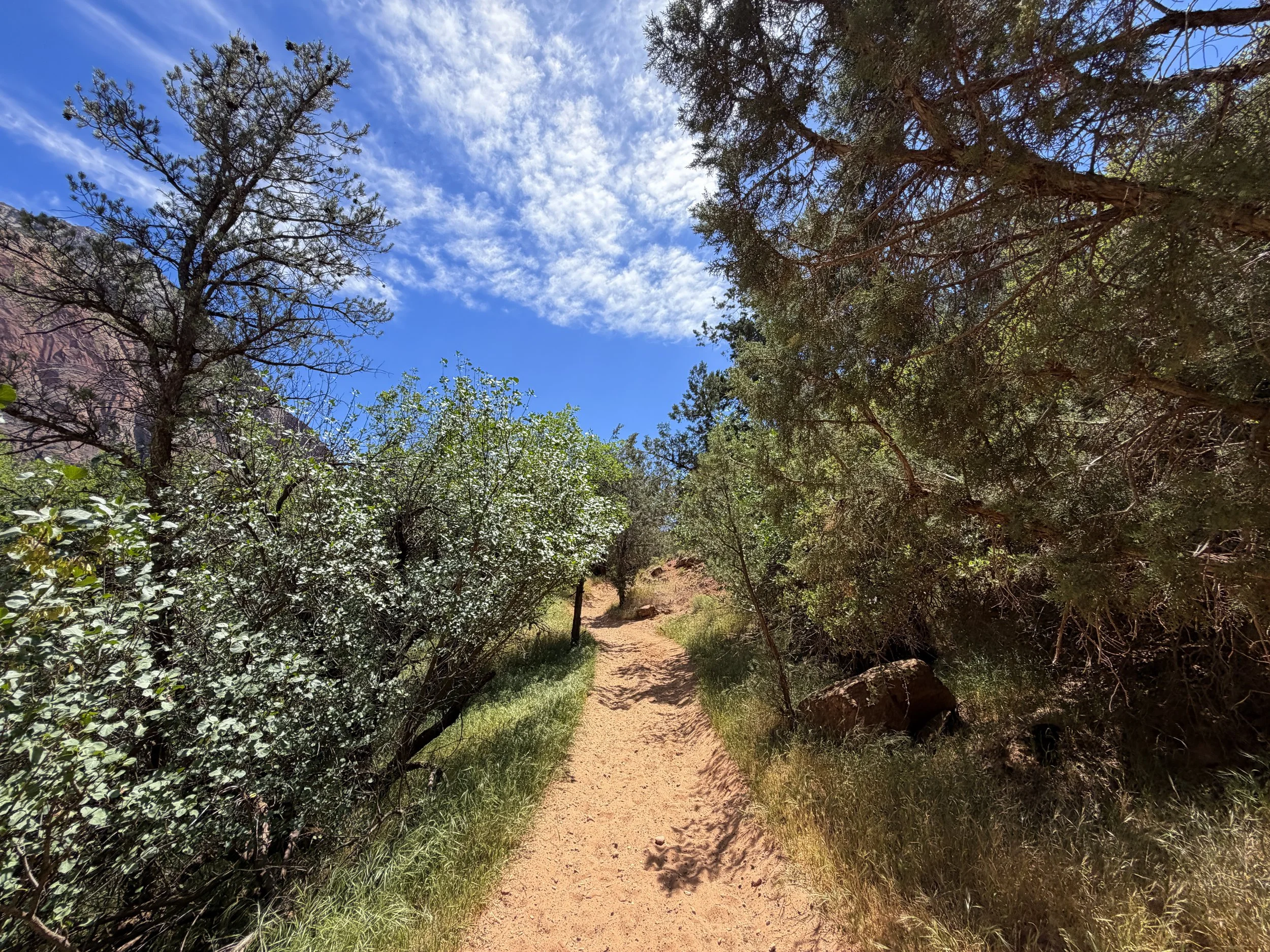 Sand Bench Trail Zion National Park Utah