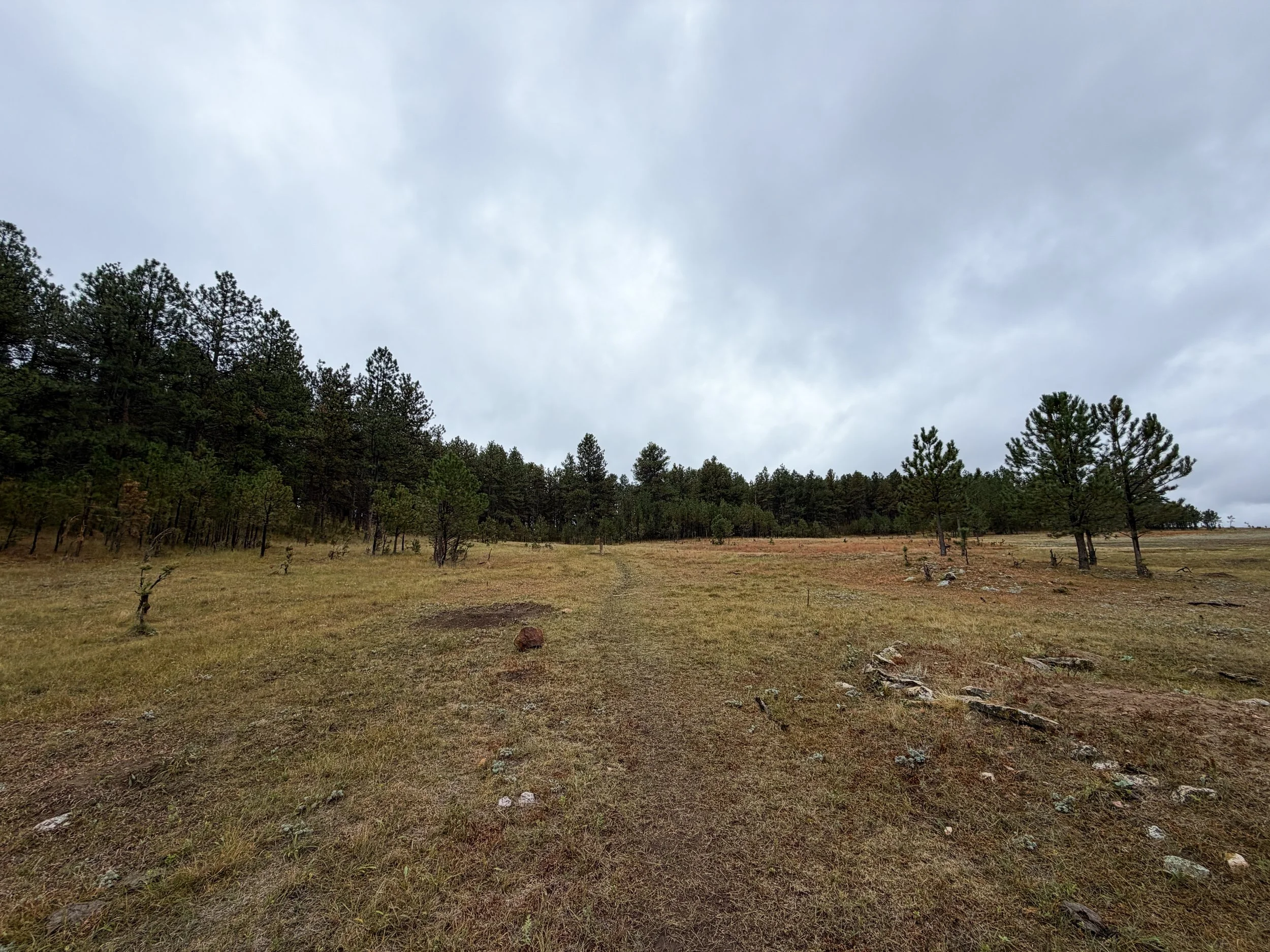 Highland Creek Hike Wind Cave National Park South Dakota