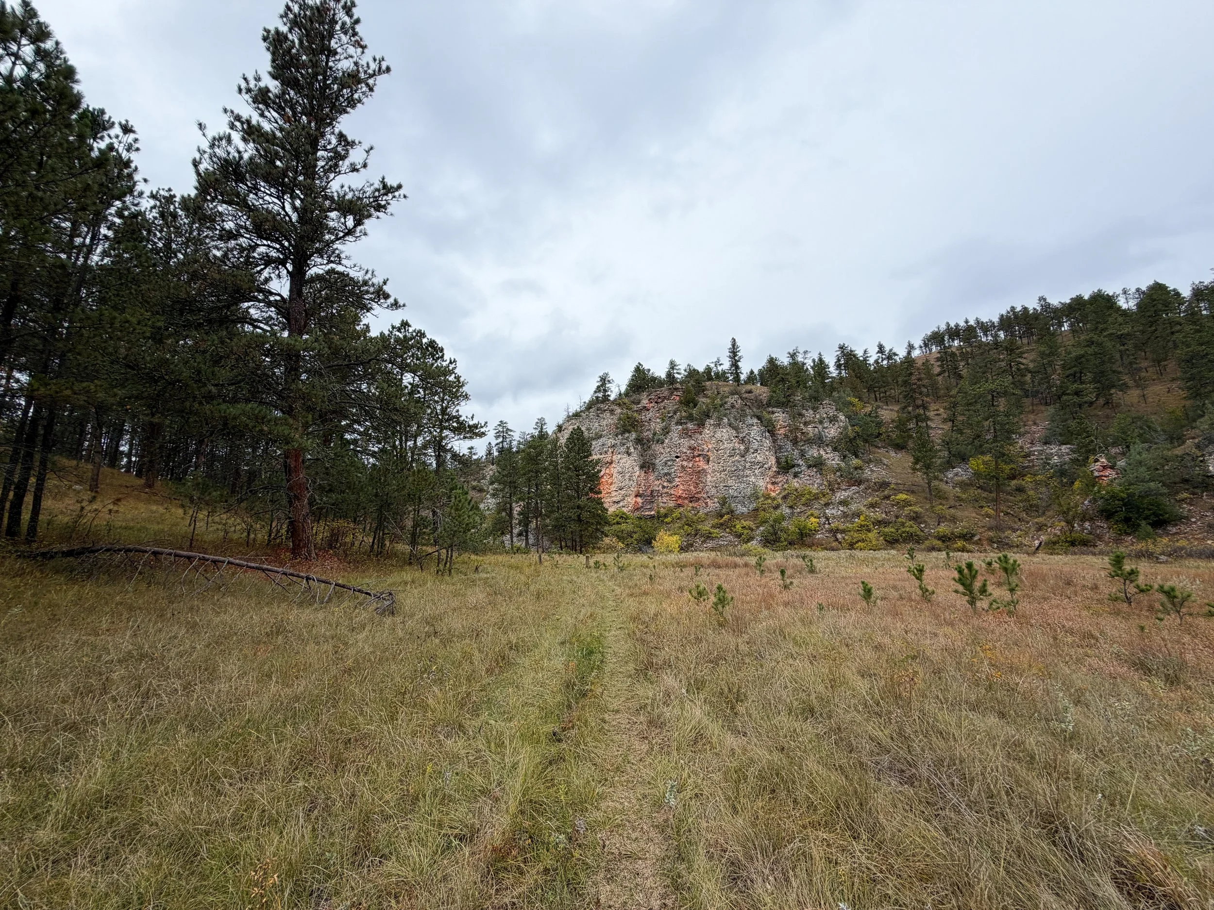 Highland Creek Trail to Lookout Point Wind Cave National Park South Dakota