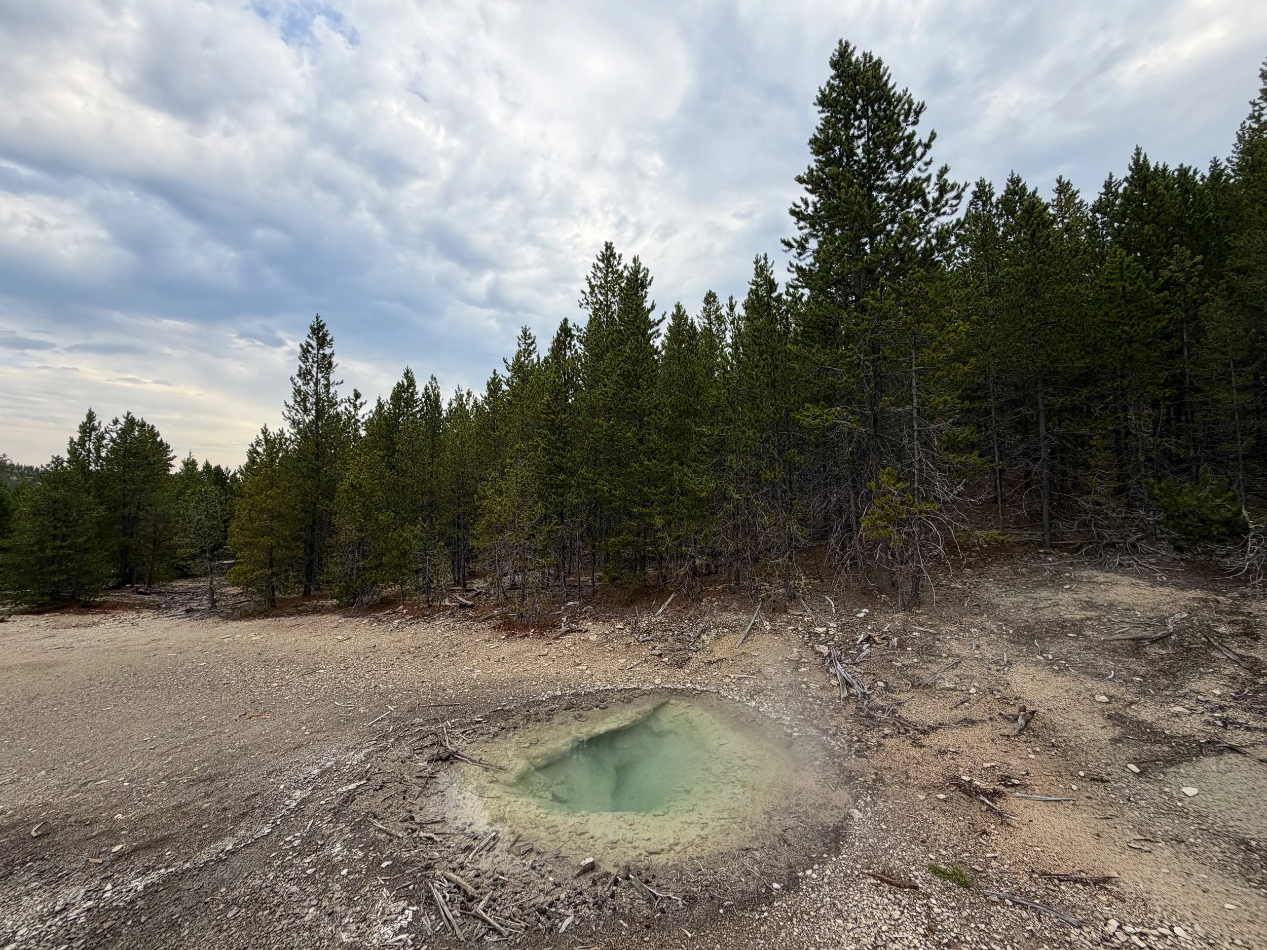 Corporal Geyser Norris Geyser Basin Trail Yellowstone National Park Wyoming