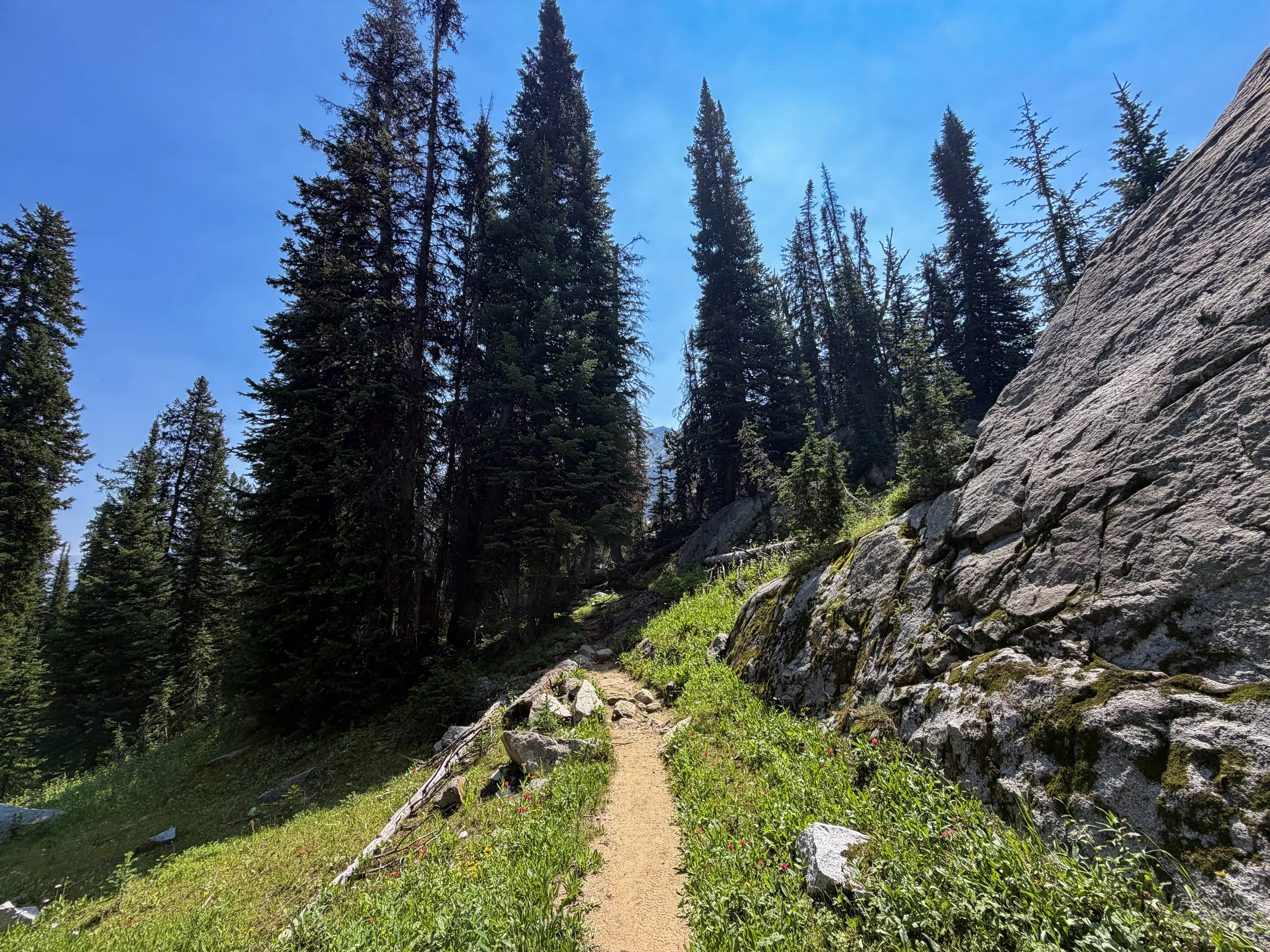 The Beaten Path Trail Beartooth Mountains Montana
