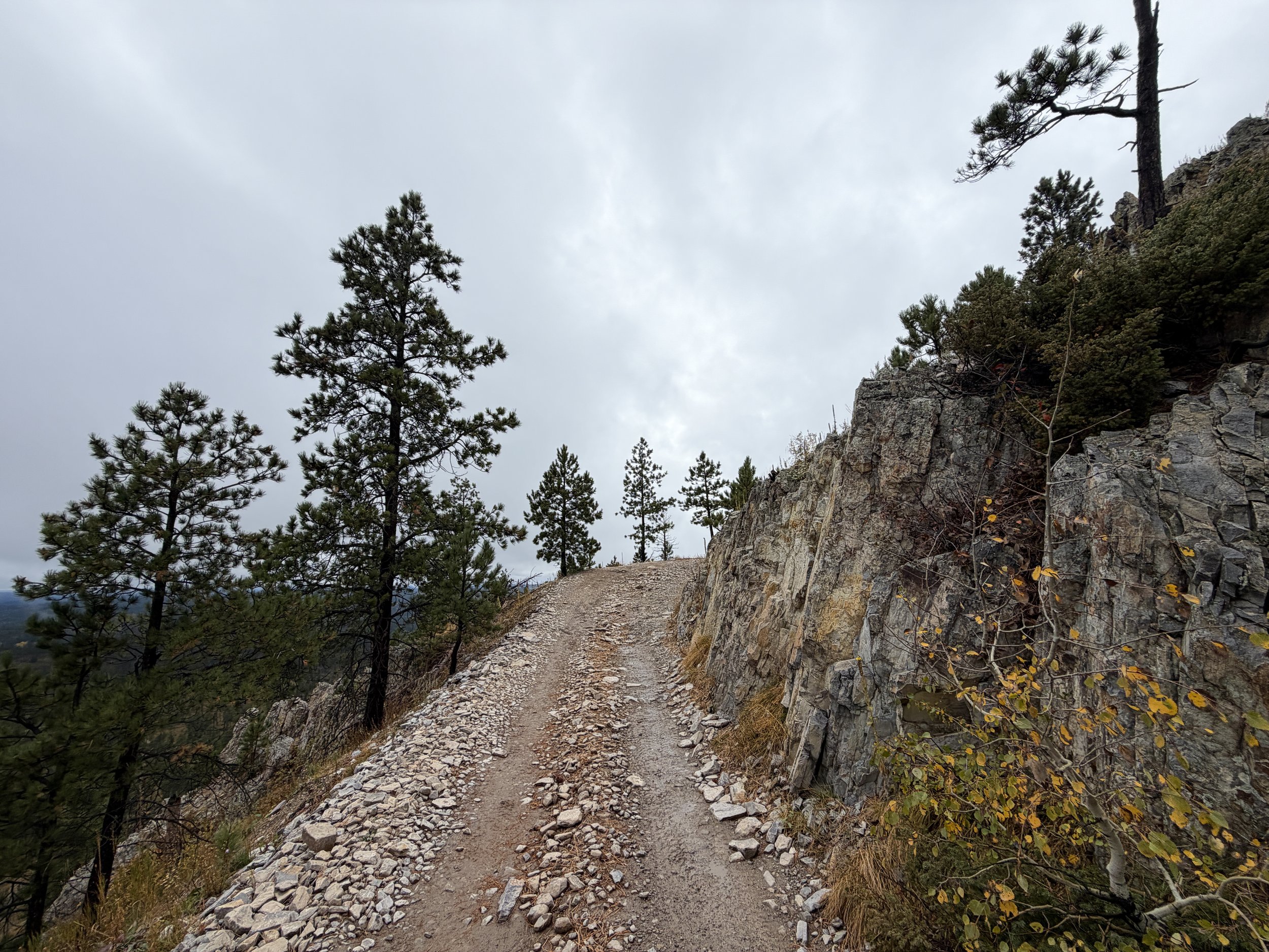 Custer Peak Trail Black Hills South Dakota