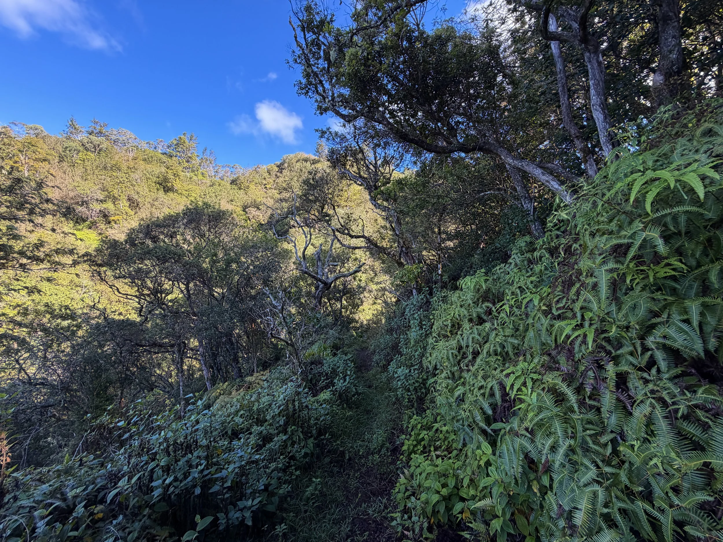 Mokuleia Trail Oahu Hawaii
