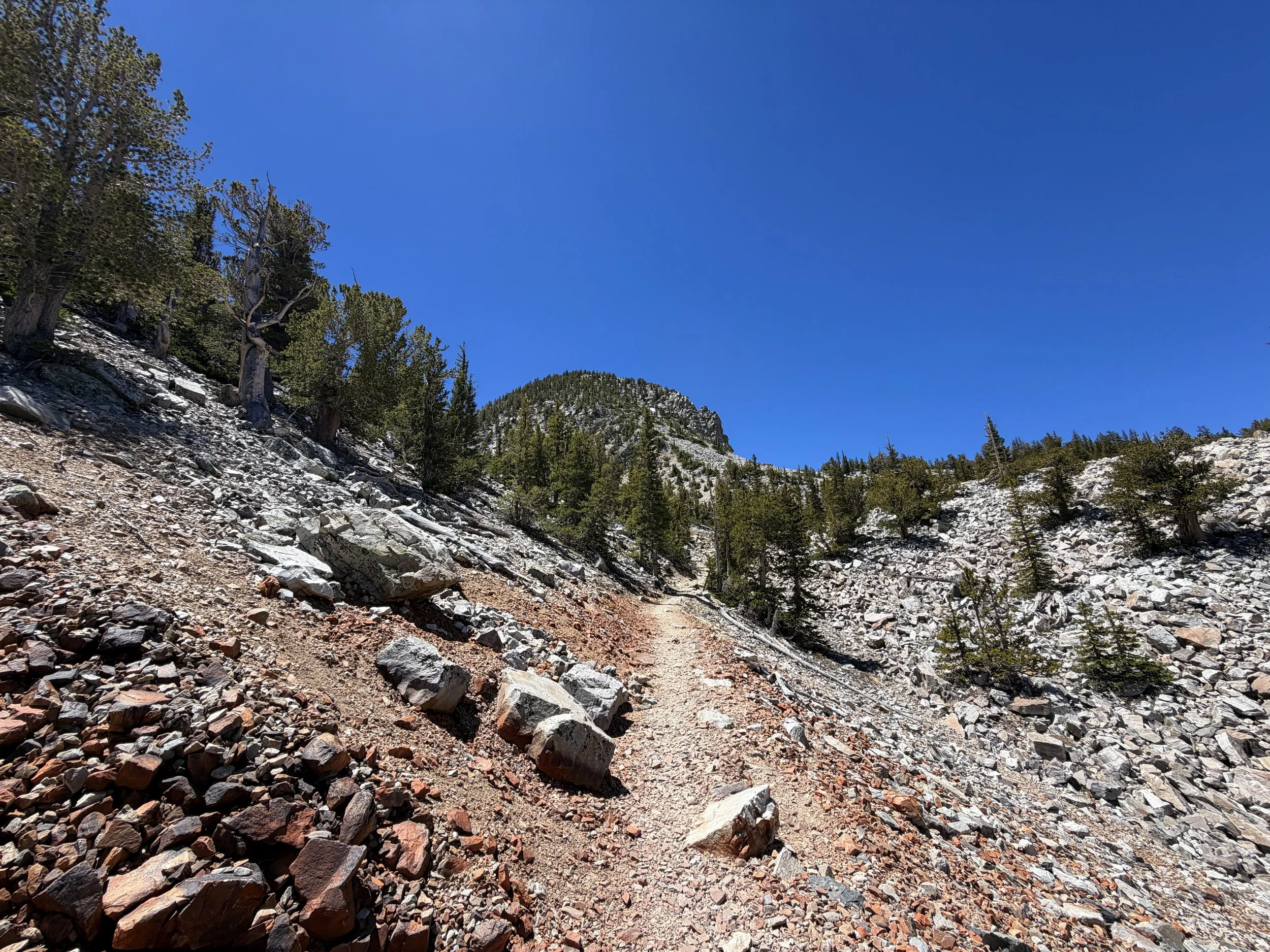 Bristlecone Pine Hike Great Basin National Park Nevada