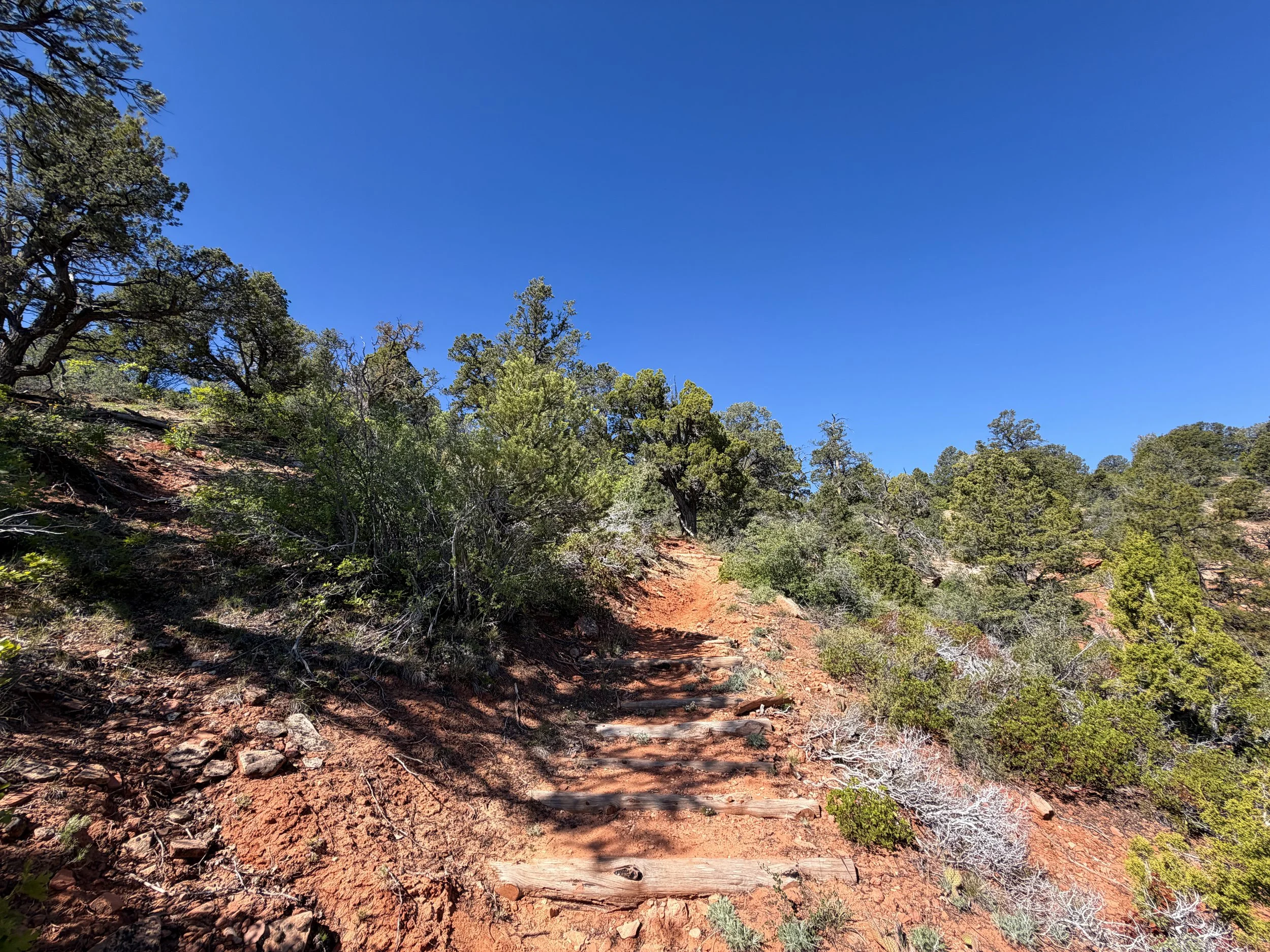 Deertrap Mountain Trail Zion National Park Utah