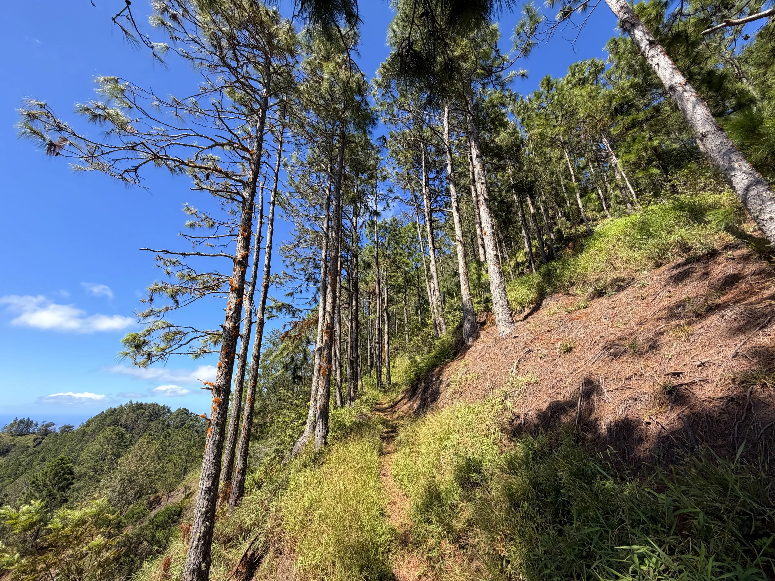 Kuaokala Trail Oahu Hawaii