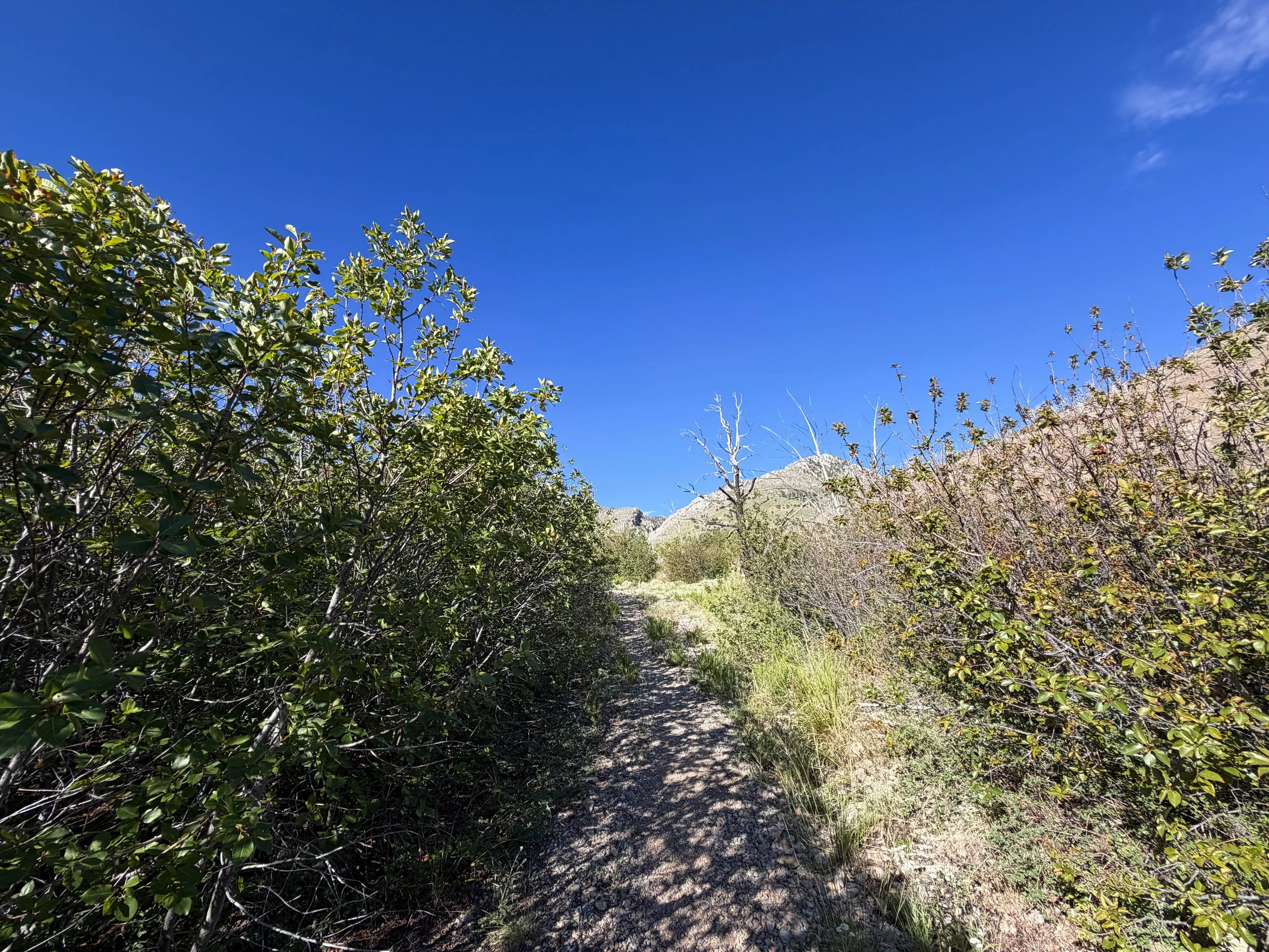 Lexington Arch Hike Great Basin National Park Nevada