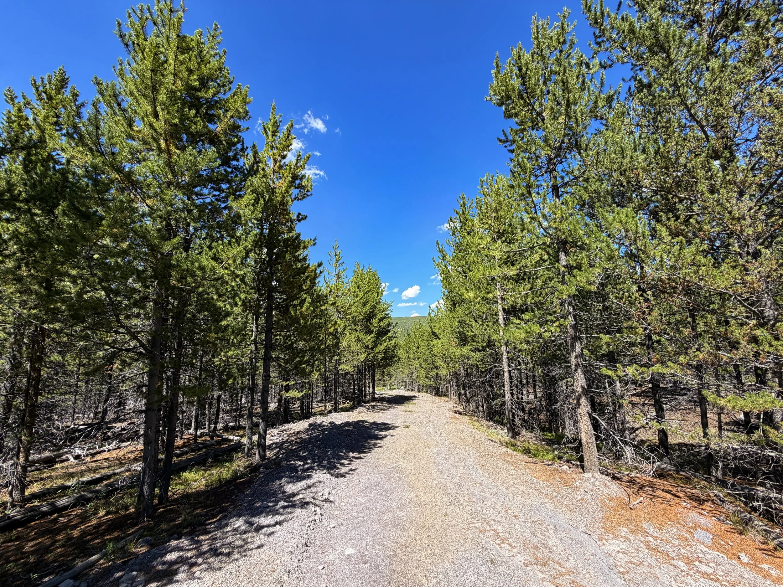 Fern Cascade Loop Trail Yellowstone National Park Wyoming